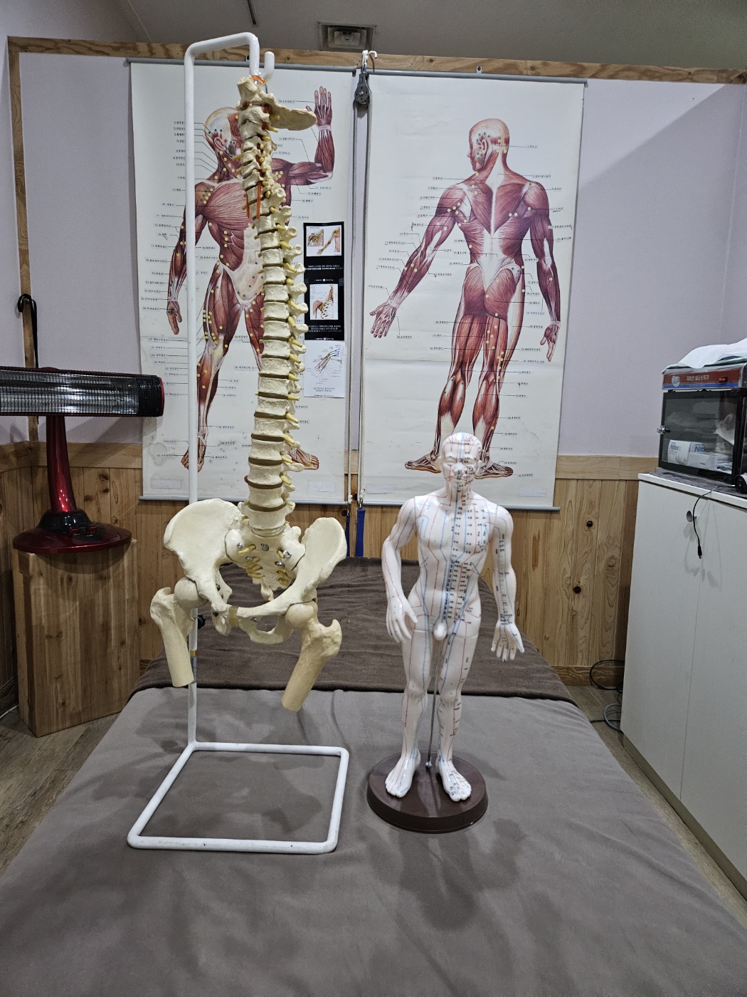 건강과아름다움 대표 이미지