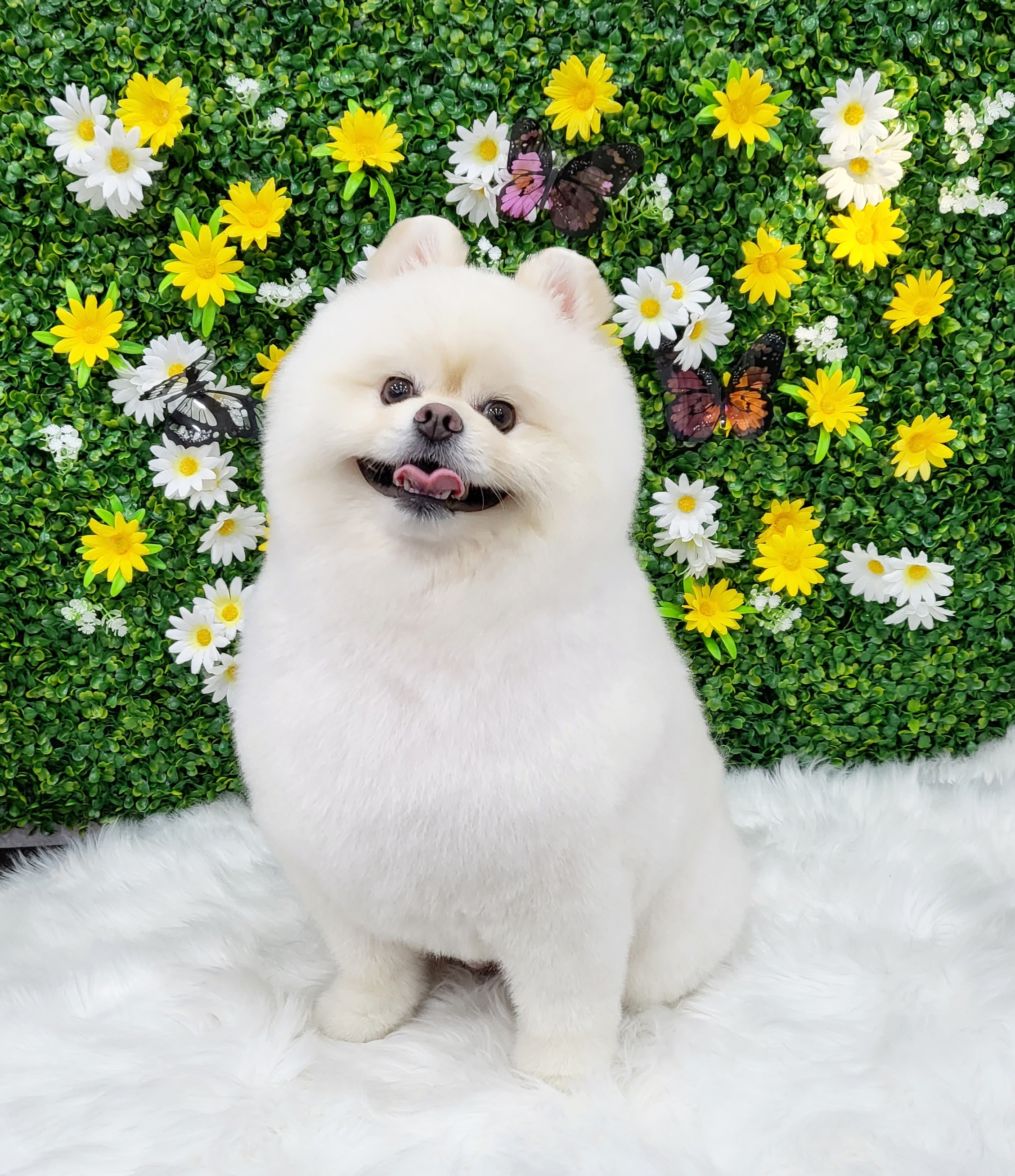 반짝반짝빛나개