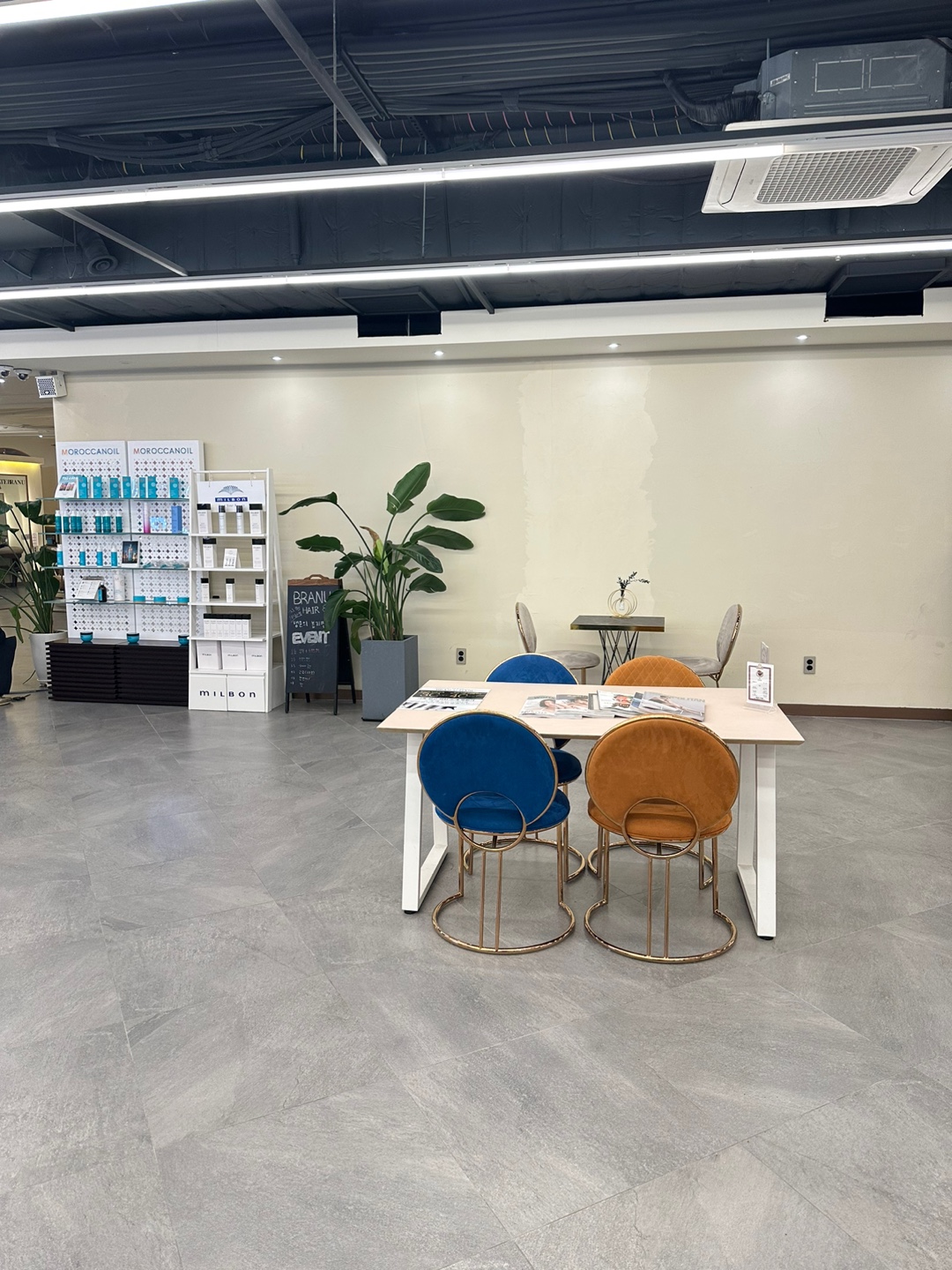 브래뉴헤어 대표 이미지