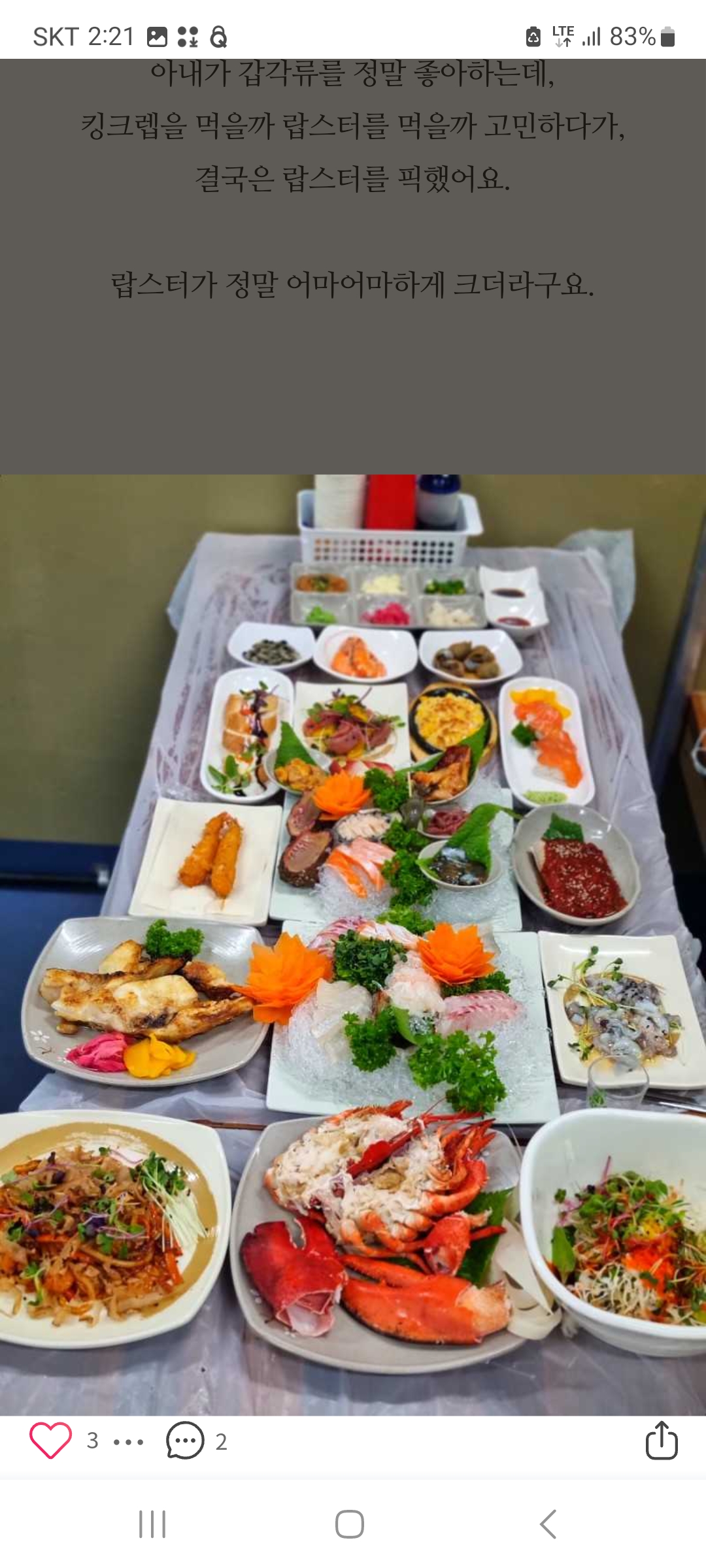 거북이네