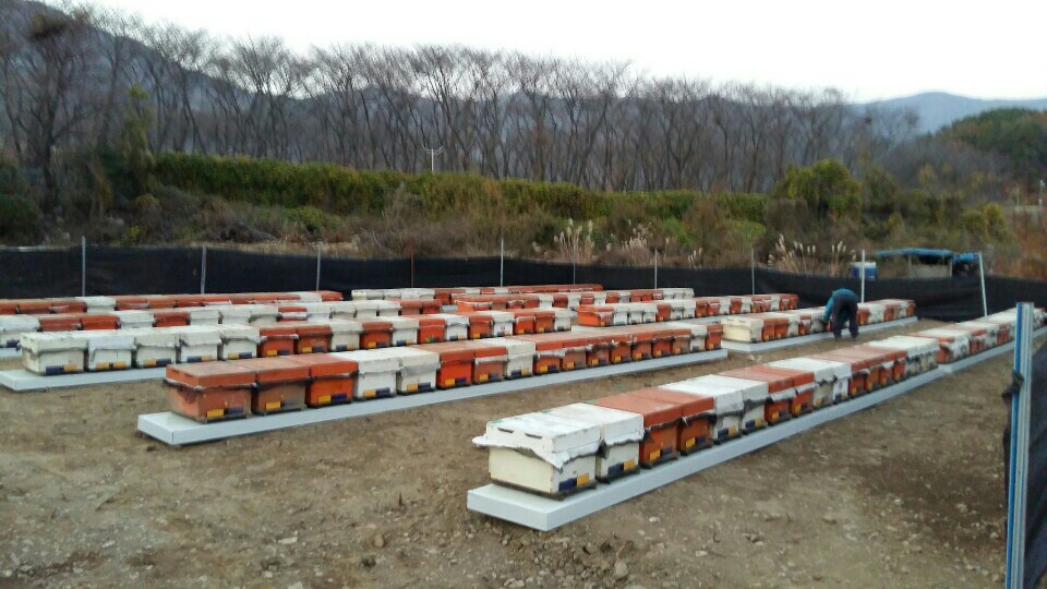 명품양봉영농조합법인