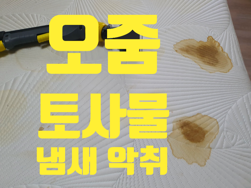 새로나하우스 매트리스소파청소