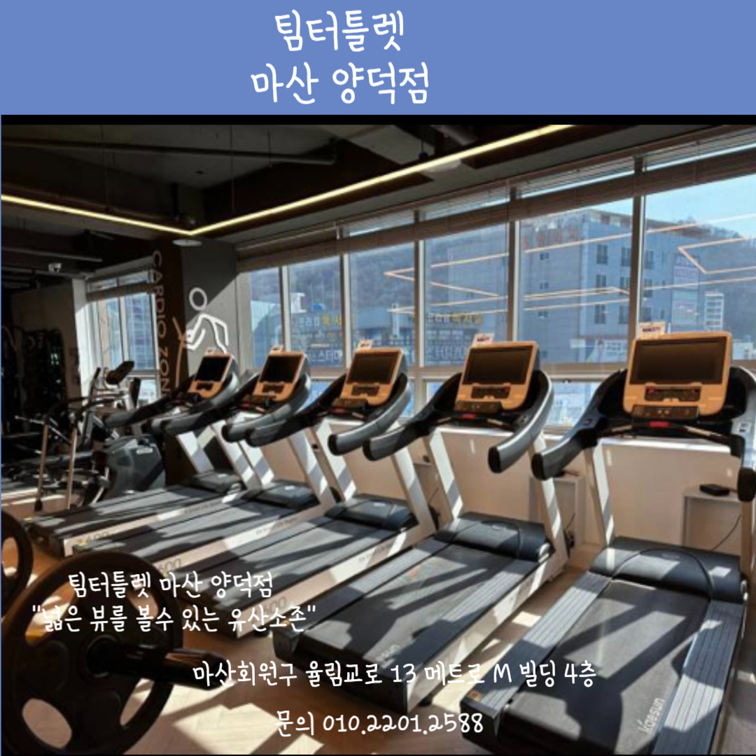 팀터틀랫 마산양덕점