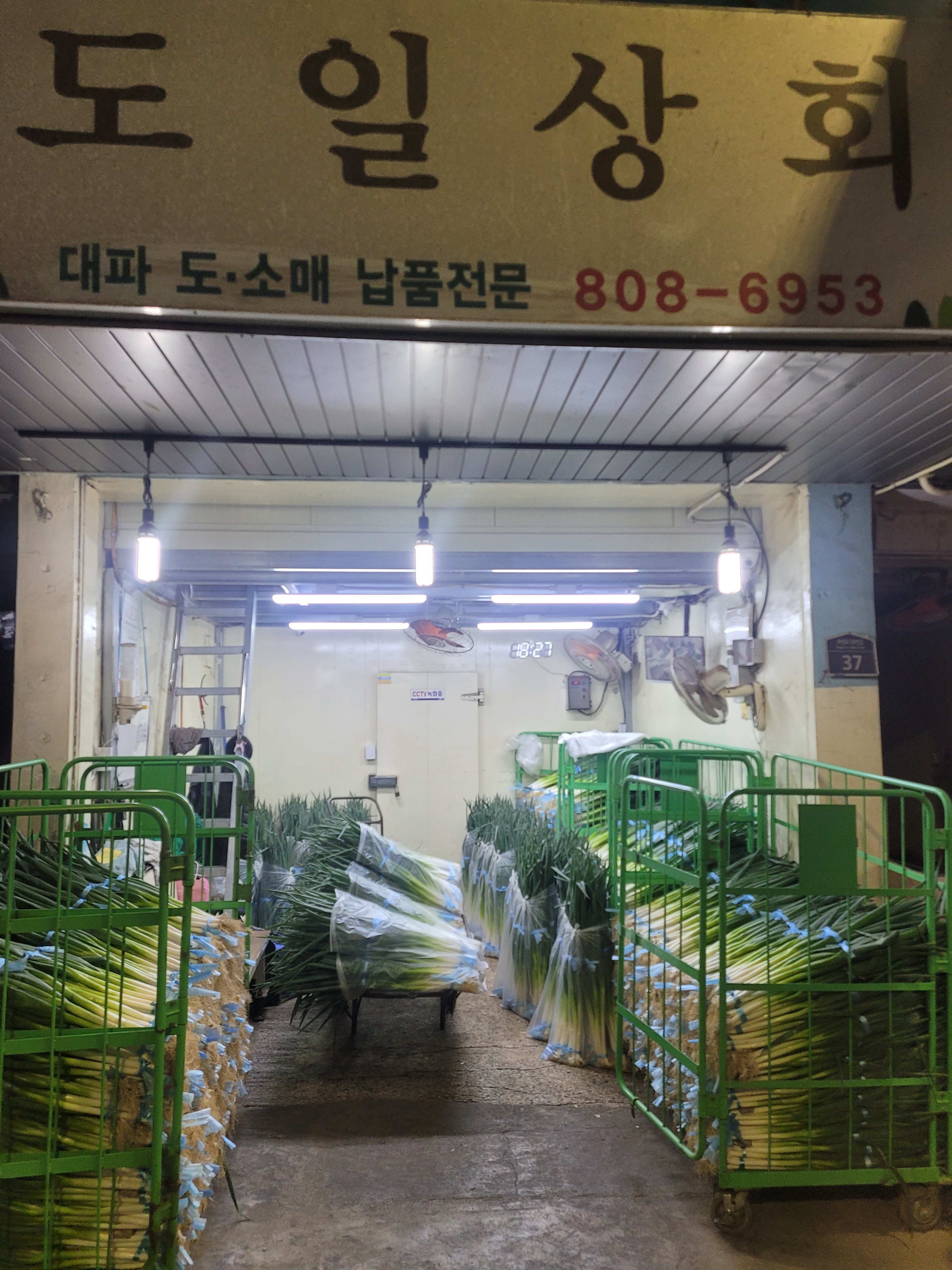 도일상회