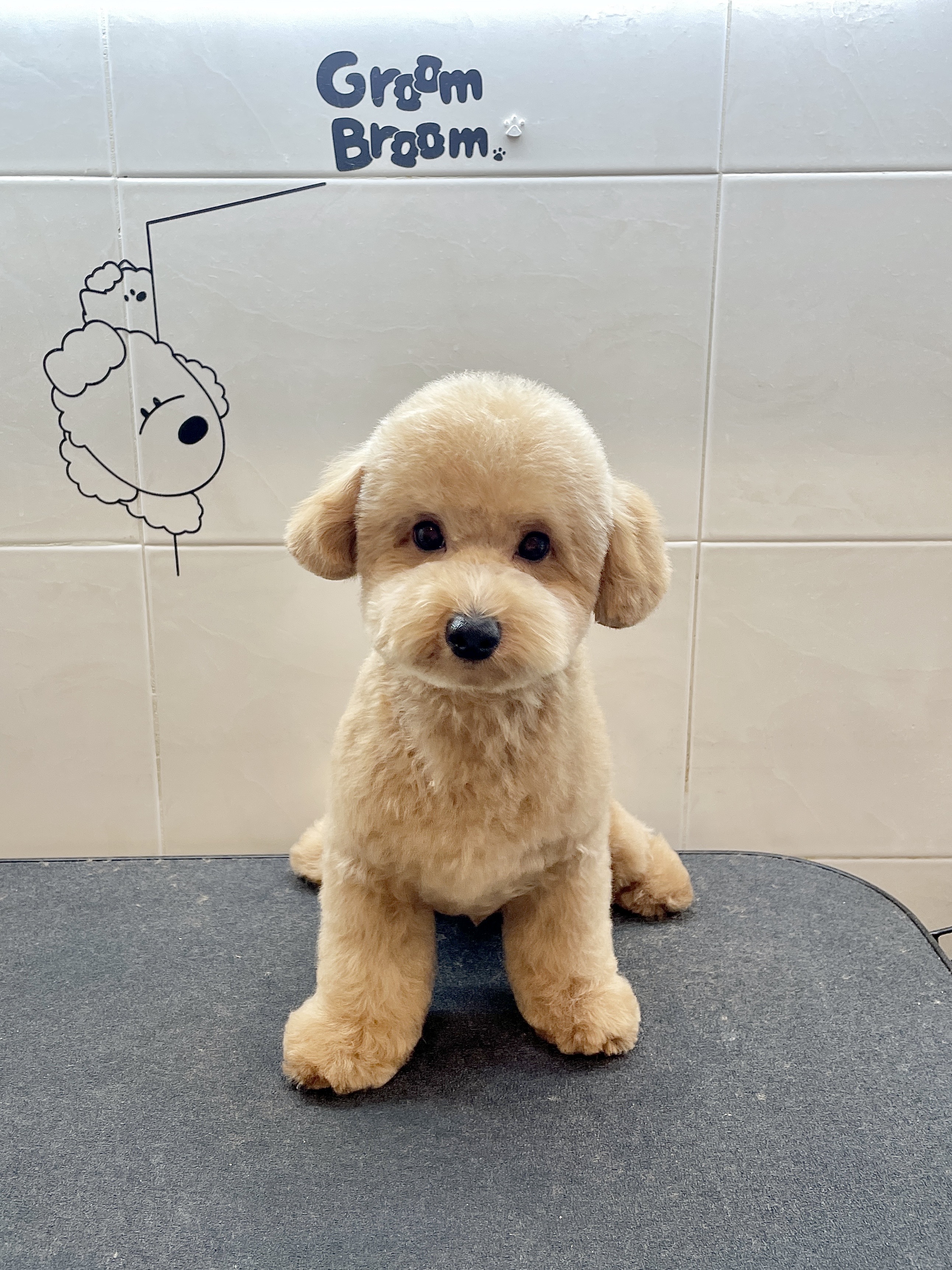 그룸브룸 대표 이미지