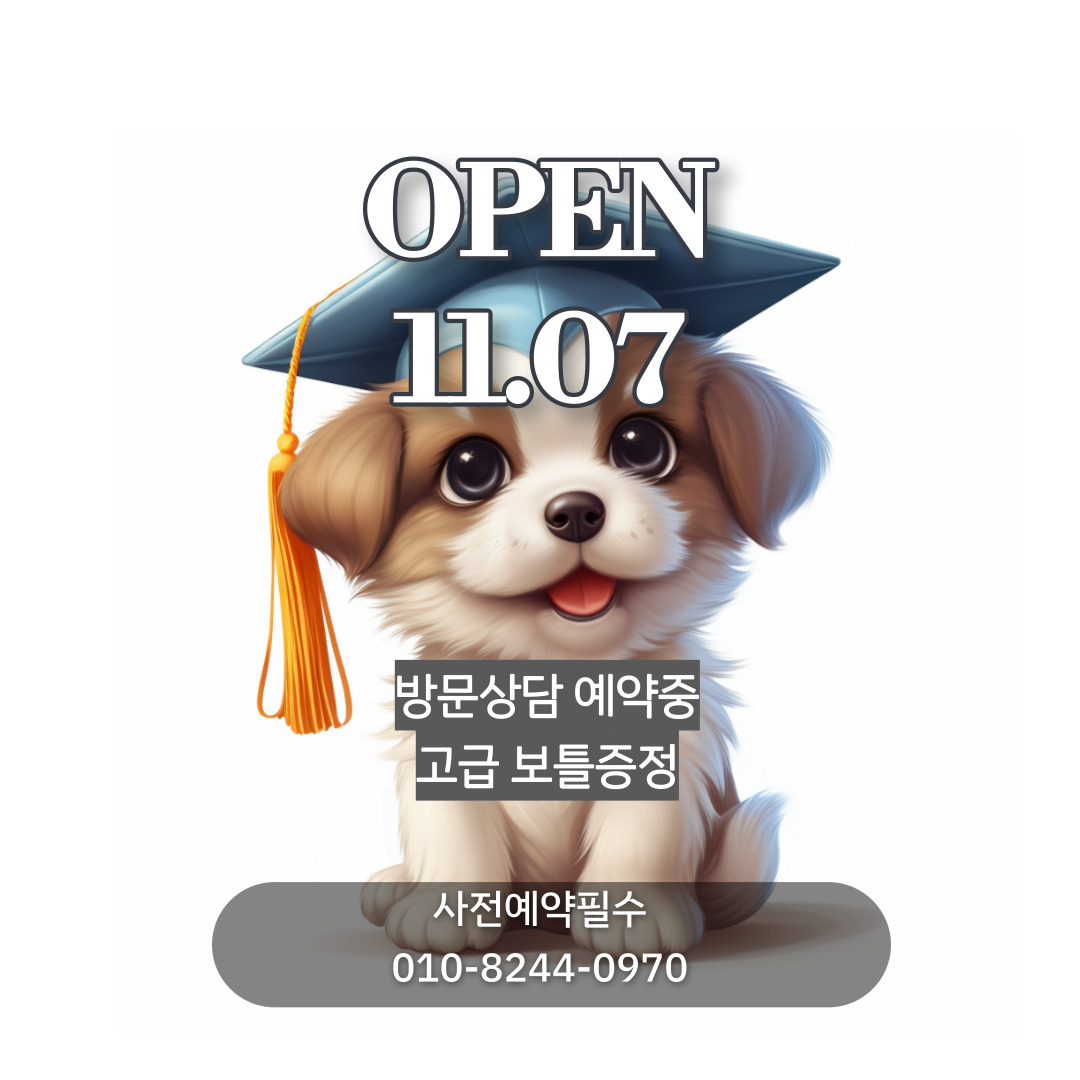 스쿨오브독 대표 이미지