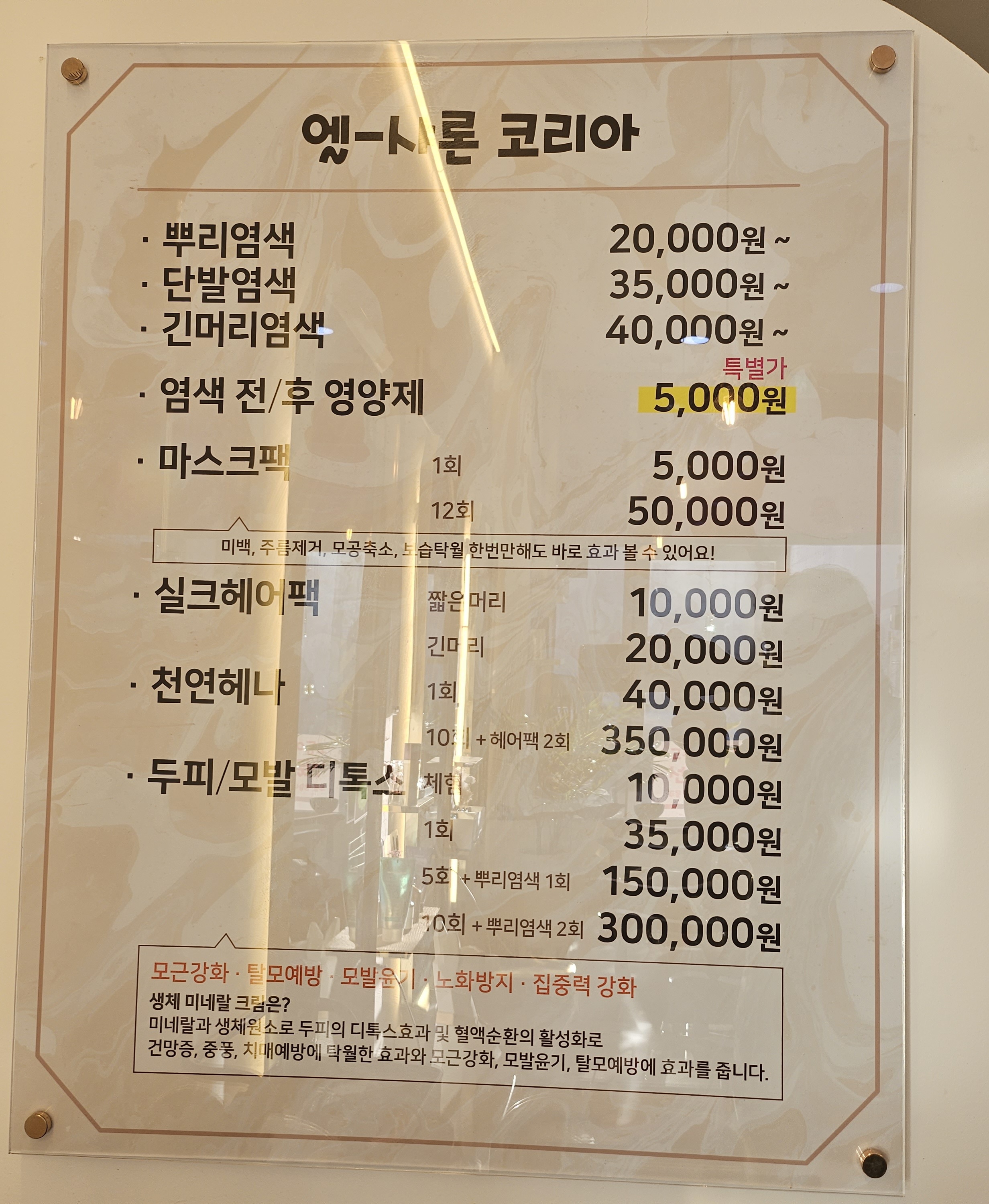 엘샤론