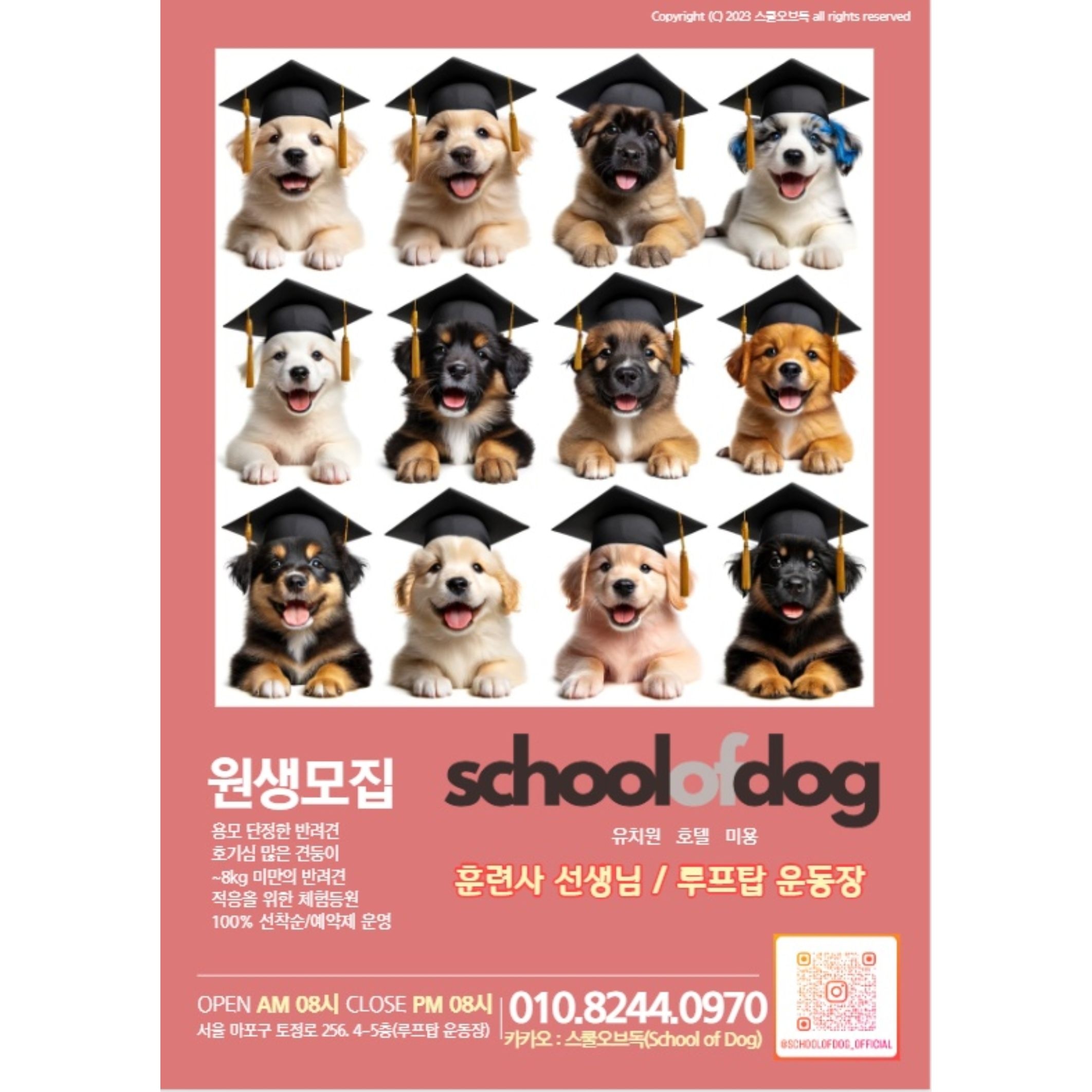 스쿨오브독 대표 이미지