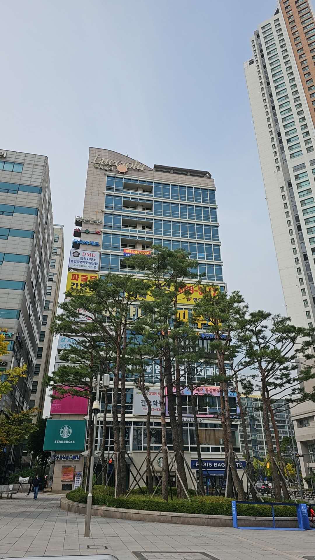 디엠디월드투어