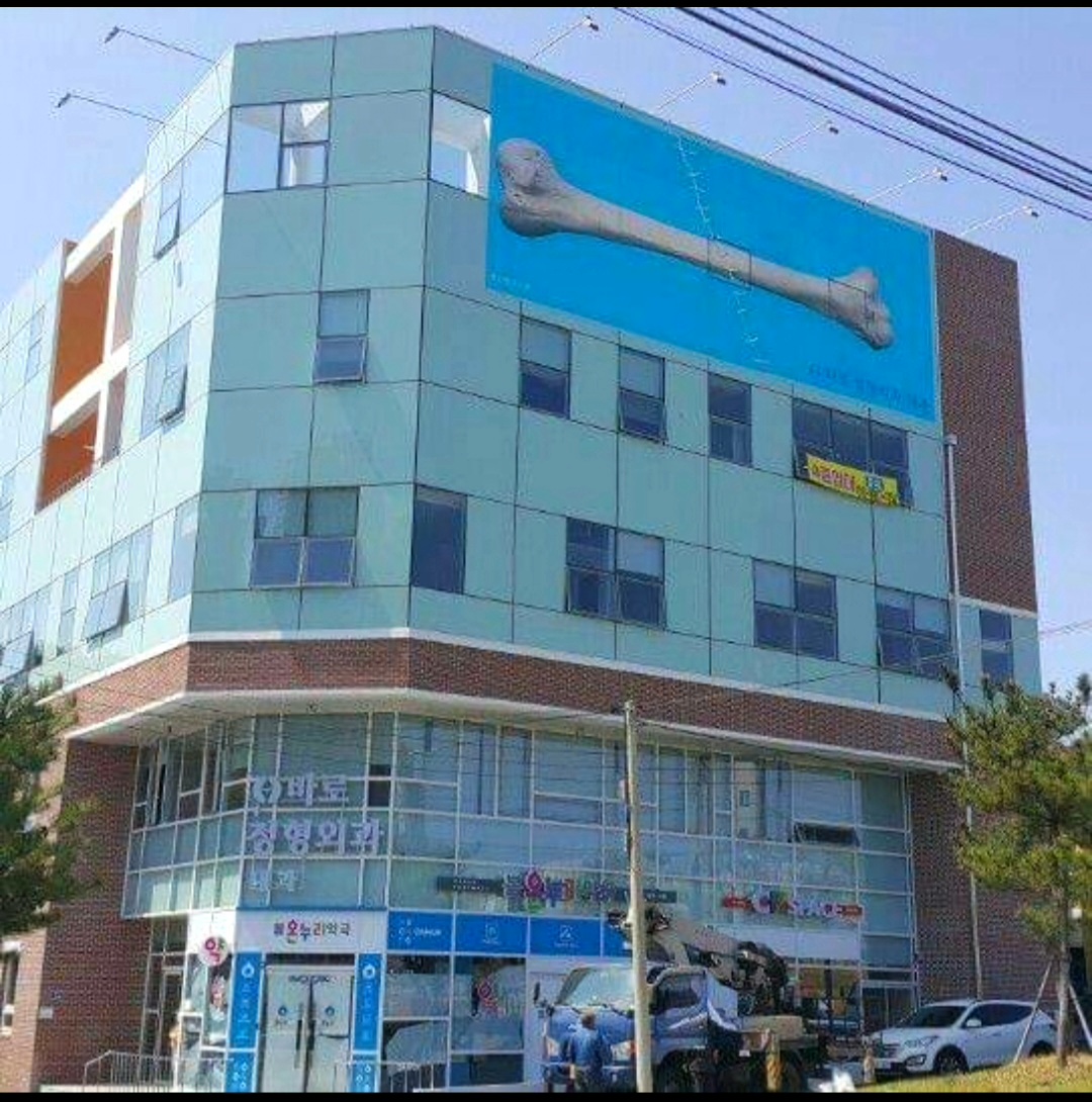 바로정형외과내과