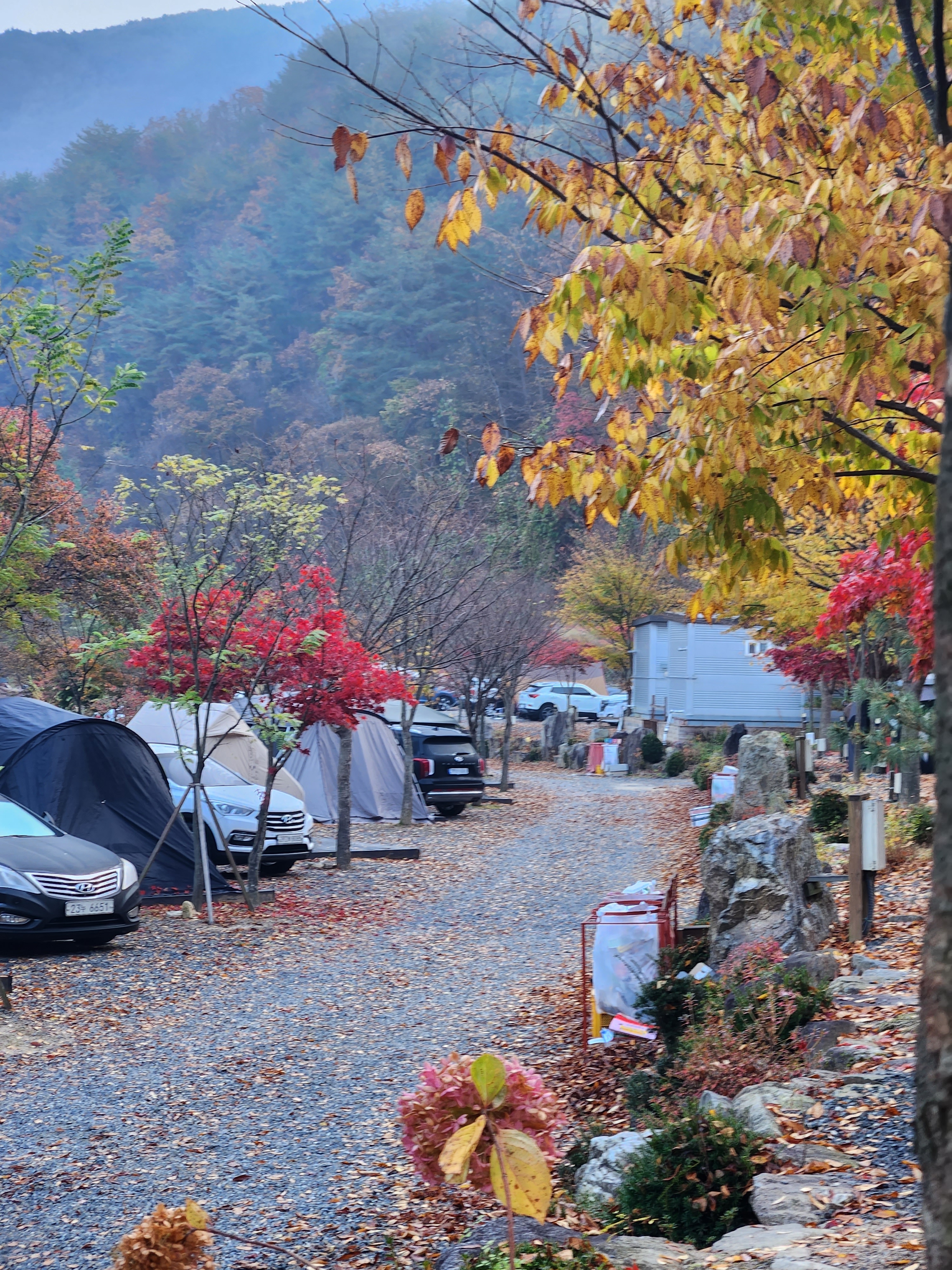 소풍캠핑장