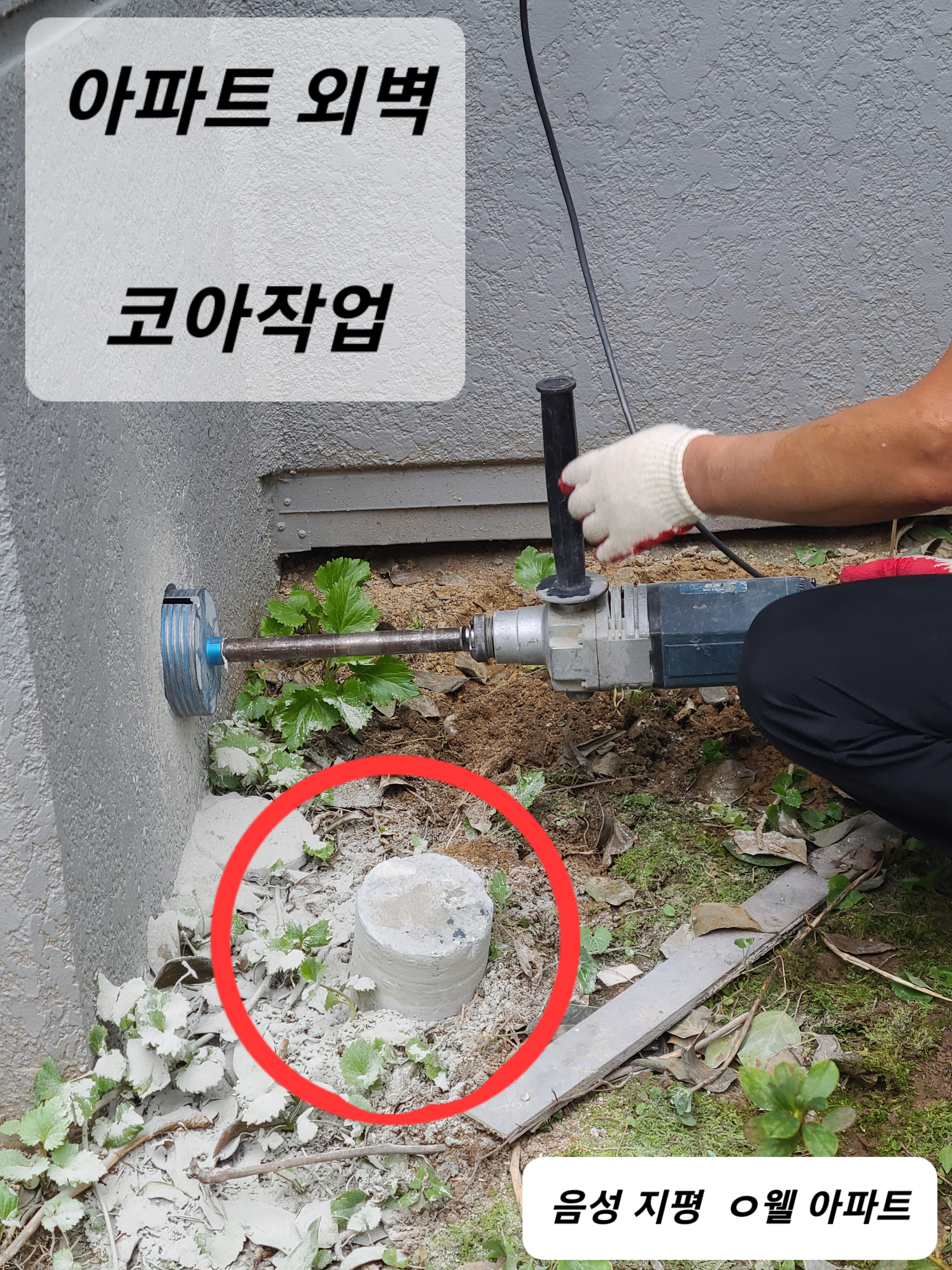 다고쳐