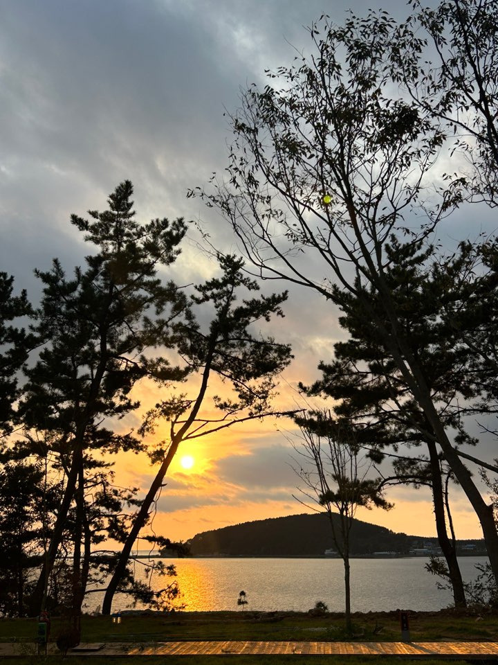 고요새캠핑장