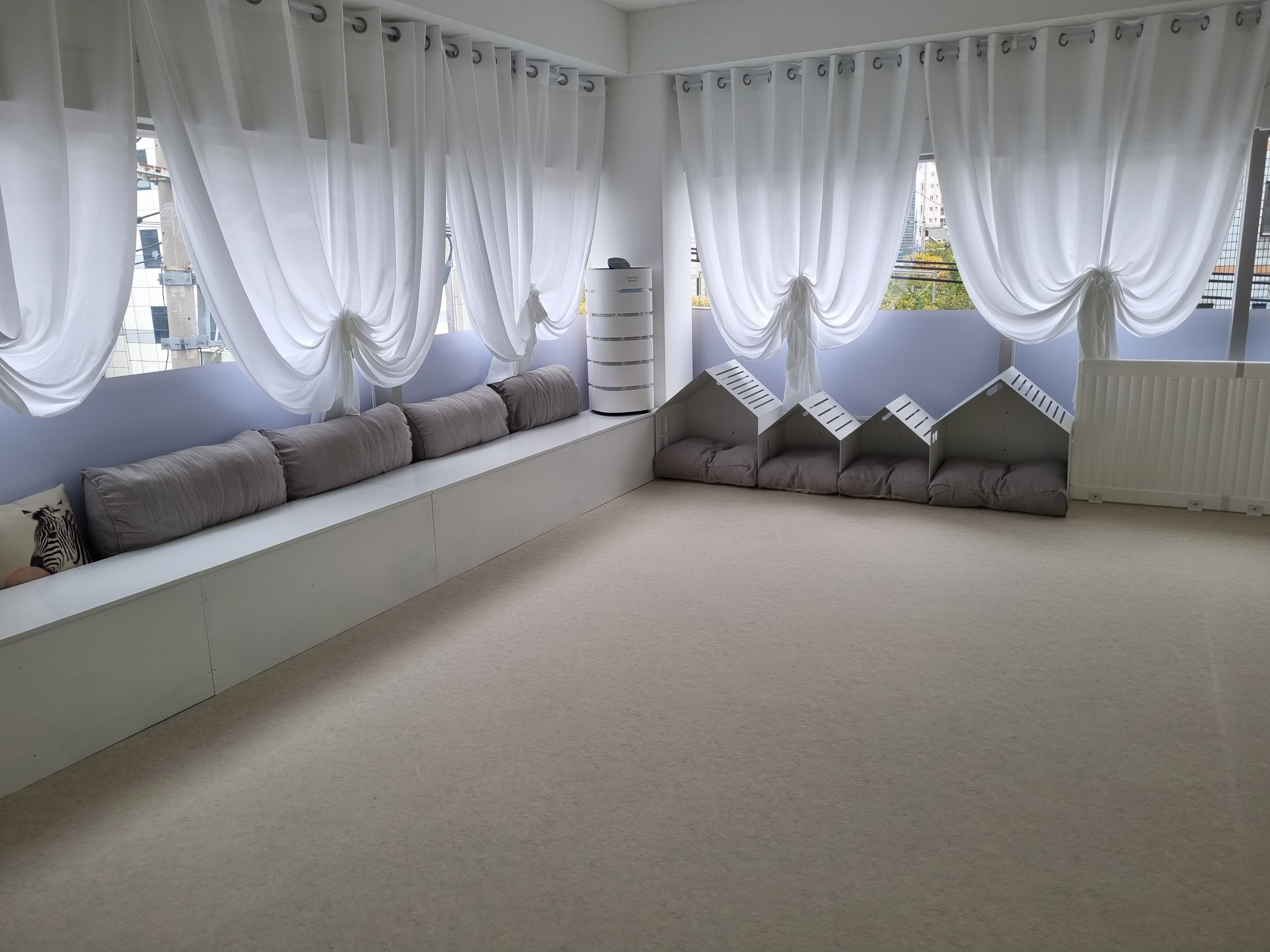 스쿨오브독 대표 이미지