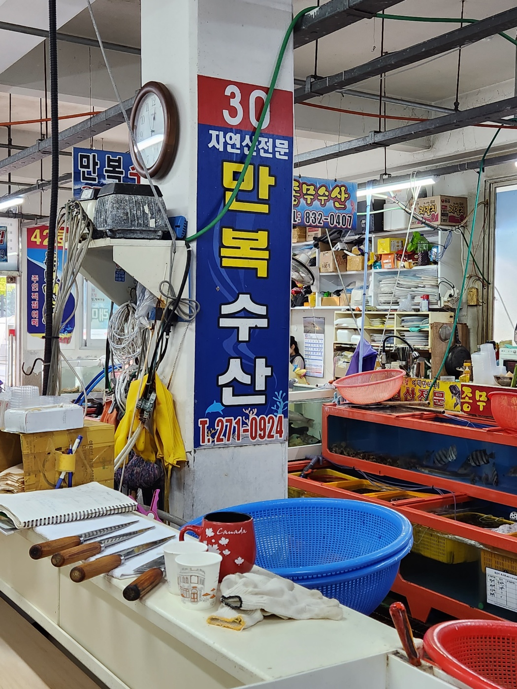 만복수산