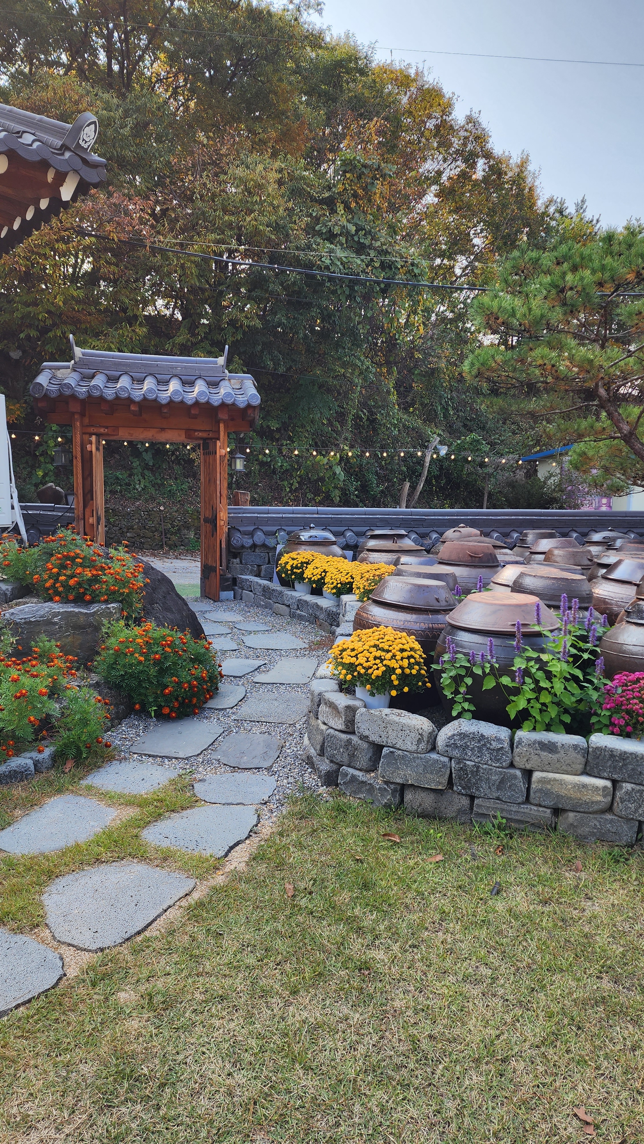 그리네 사바나