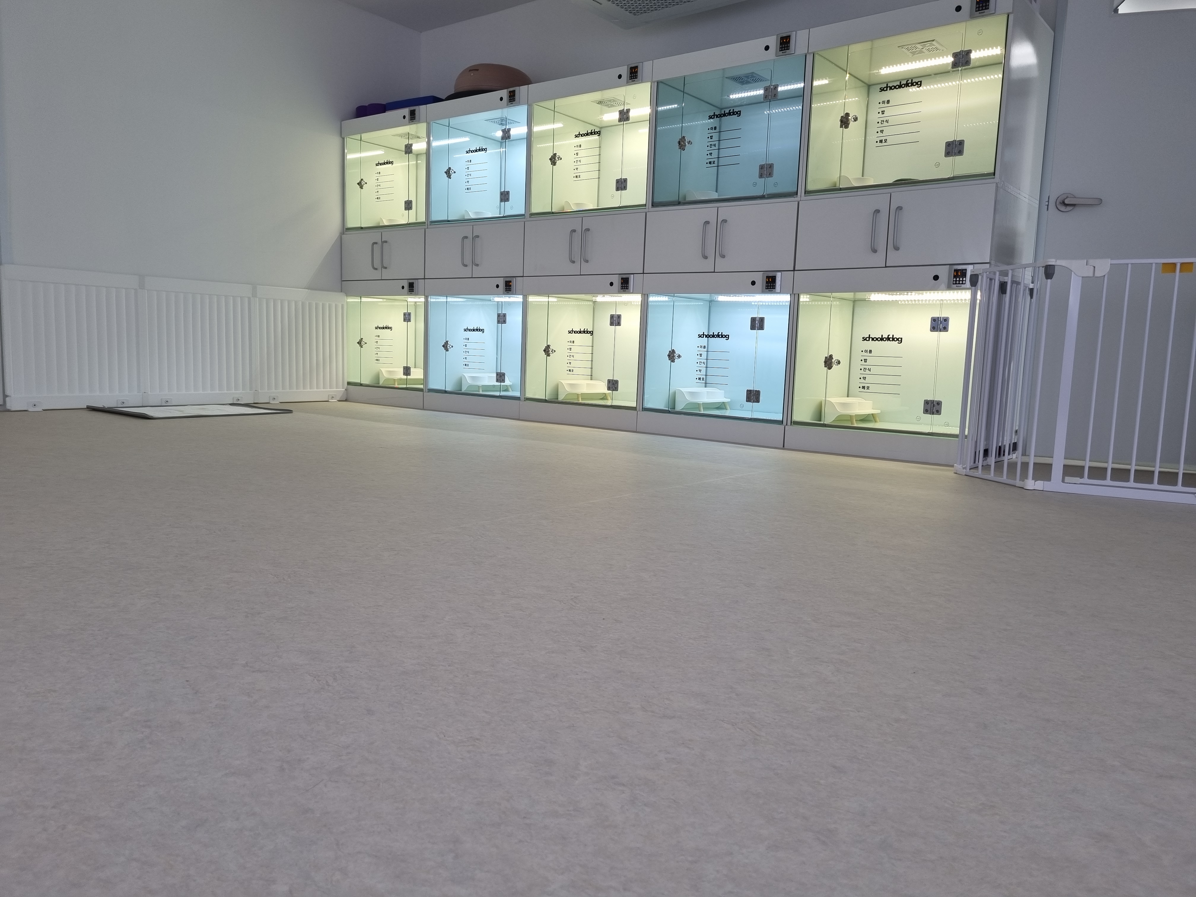 스쿨오브독 대표 이미지