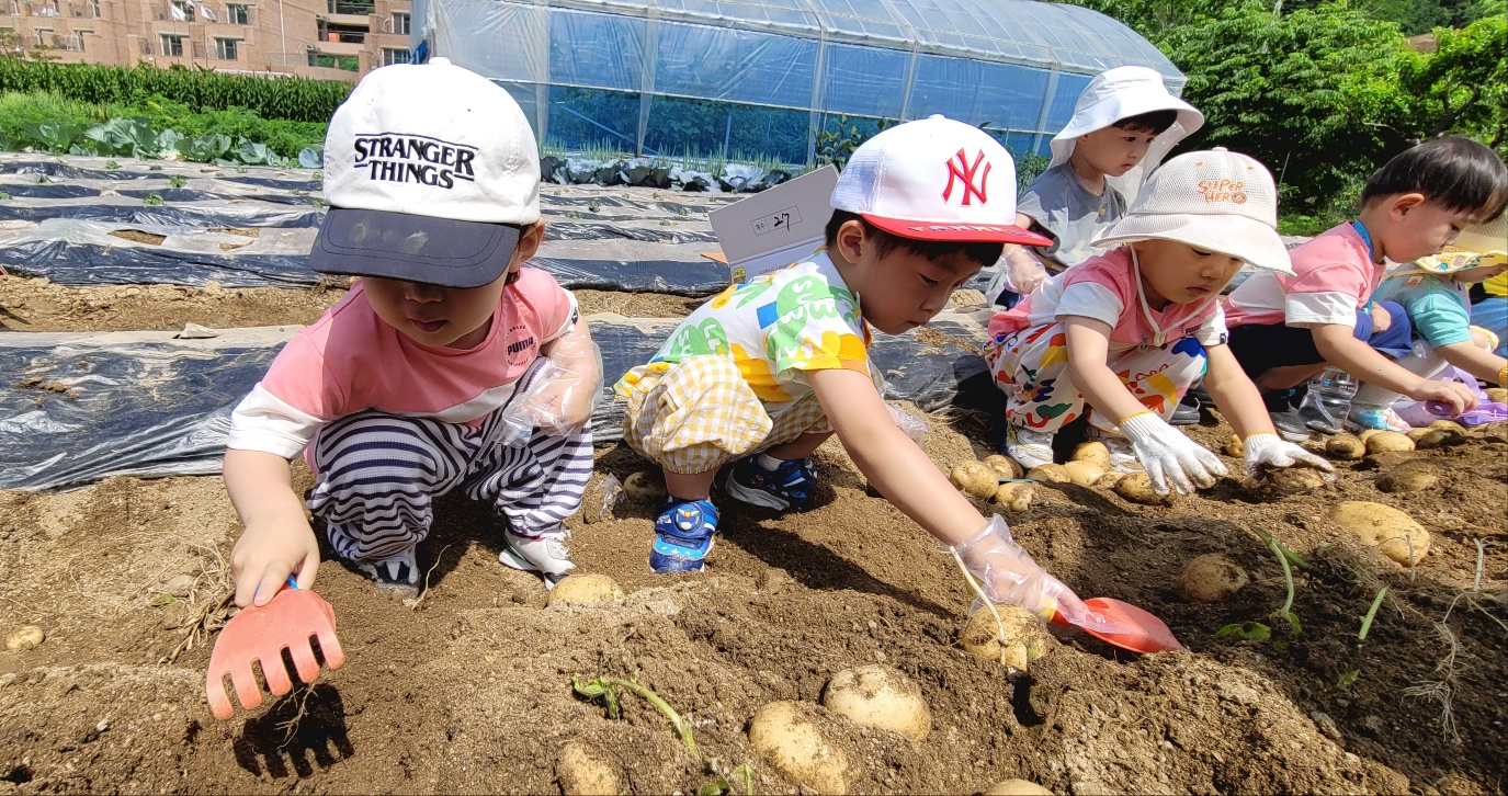 아이큰숲어린이집