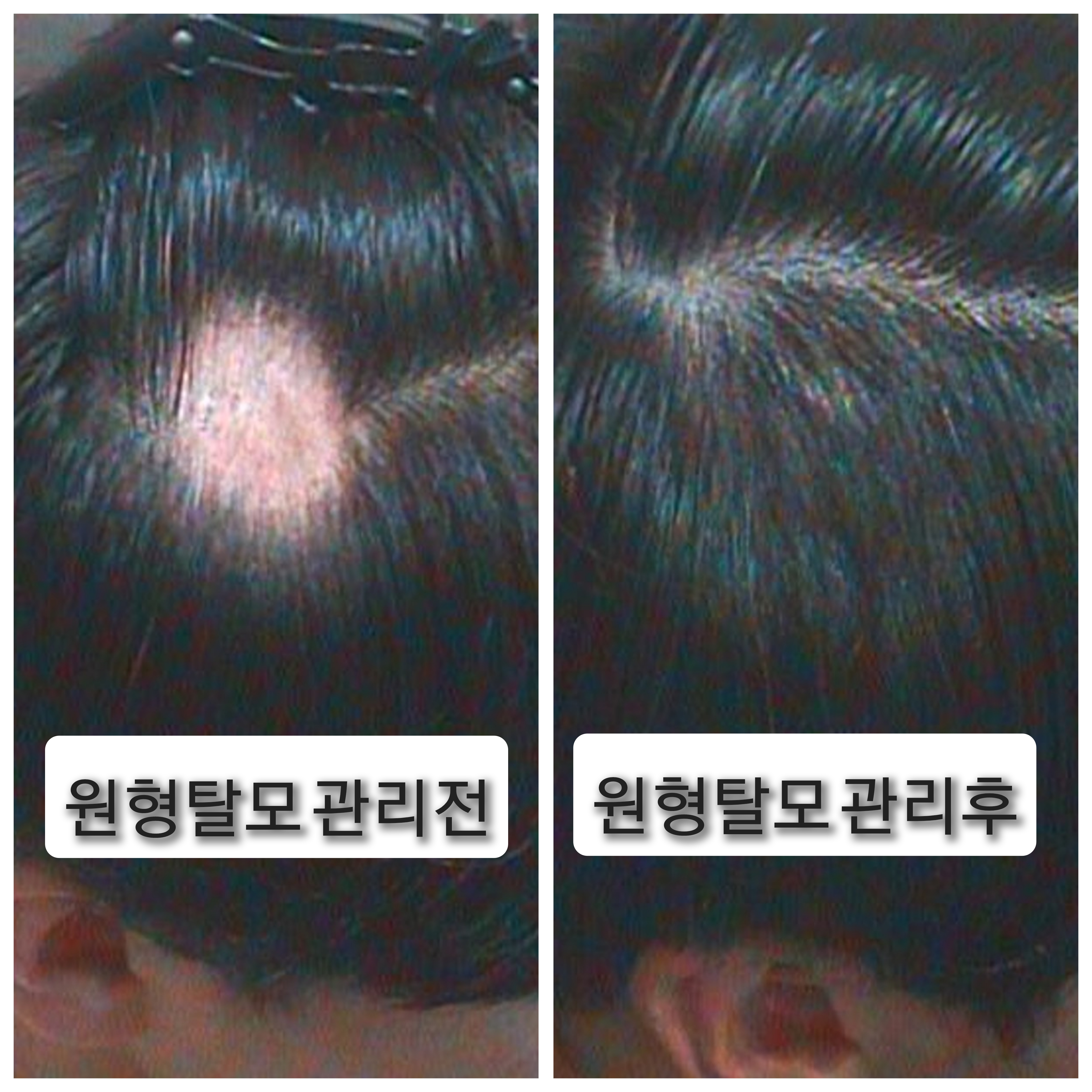 닥터모락 종로점 이미지