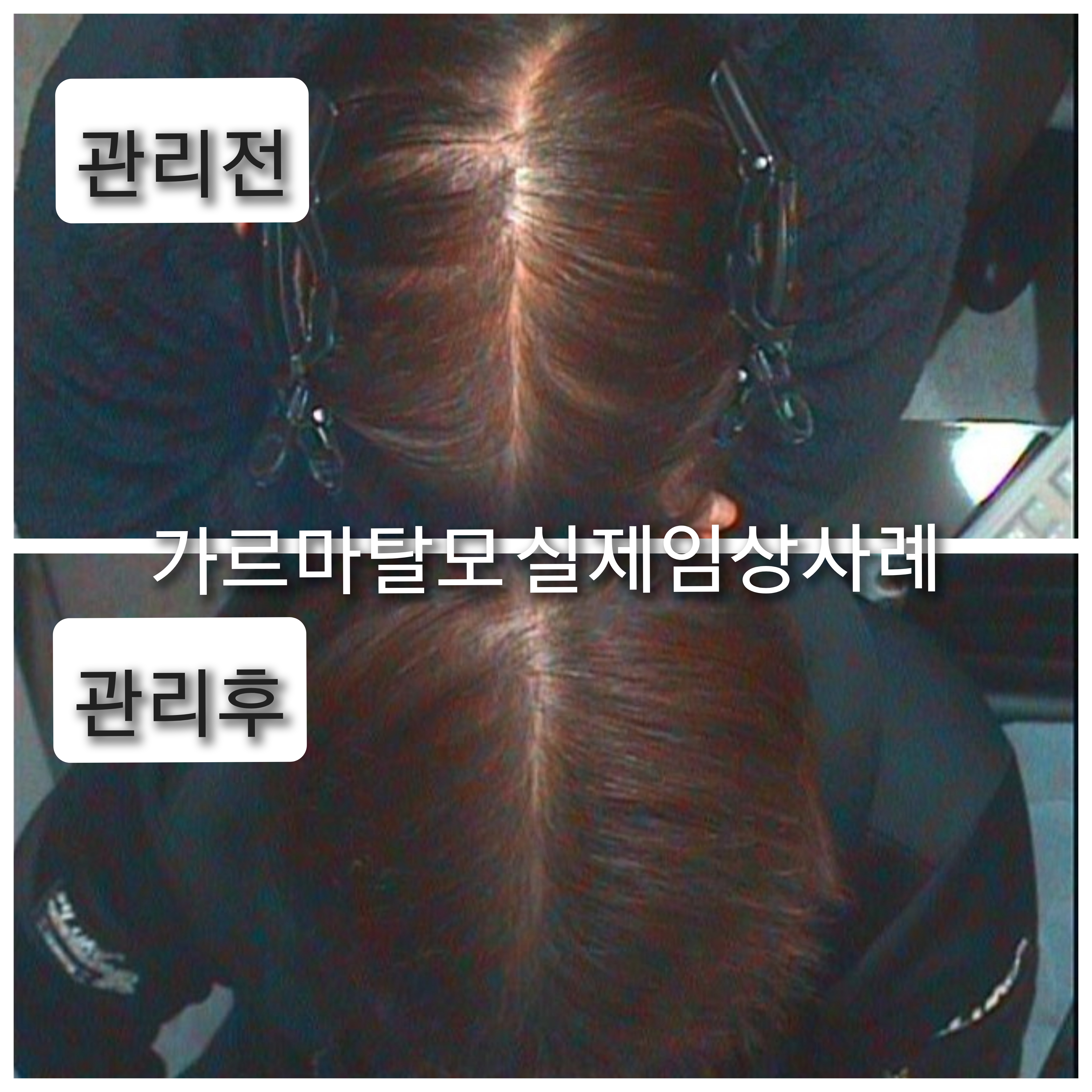 닥터모락 종로점 대표 이미지
