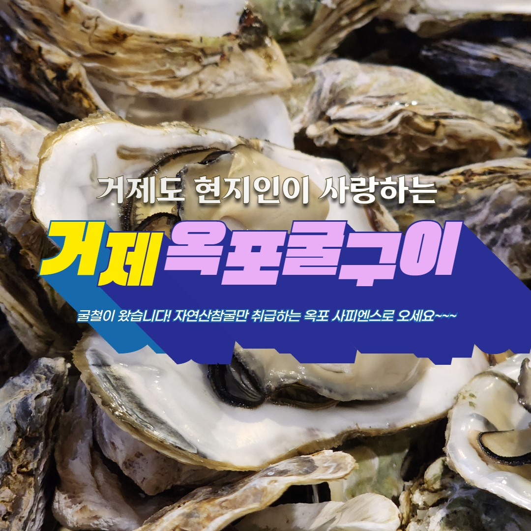 사피엔스 거제옥포본점
