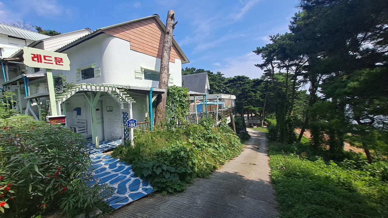 레드 3