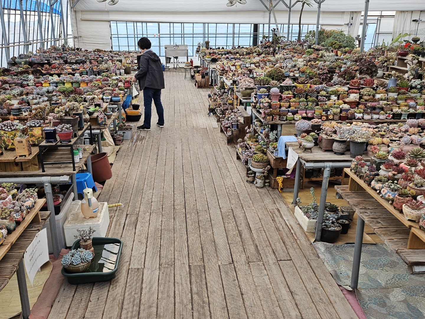 기쁨이네다육농원