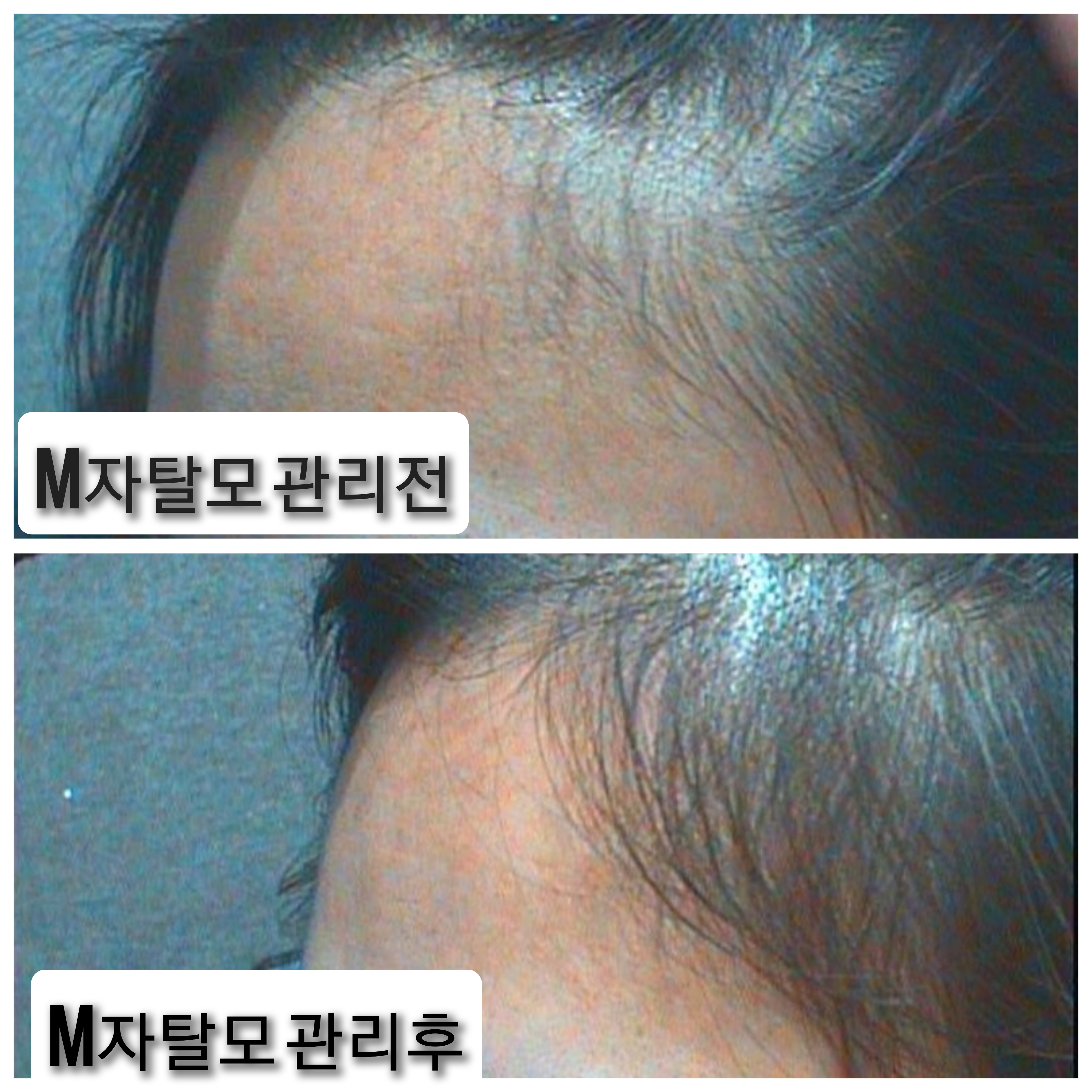 닥터모락 종로점 대표 이미지