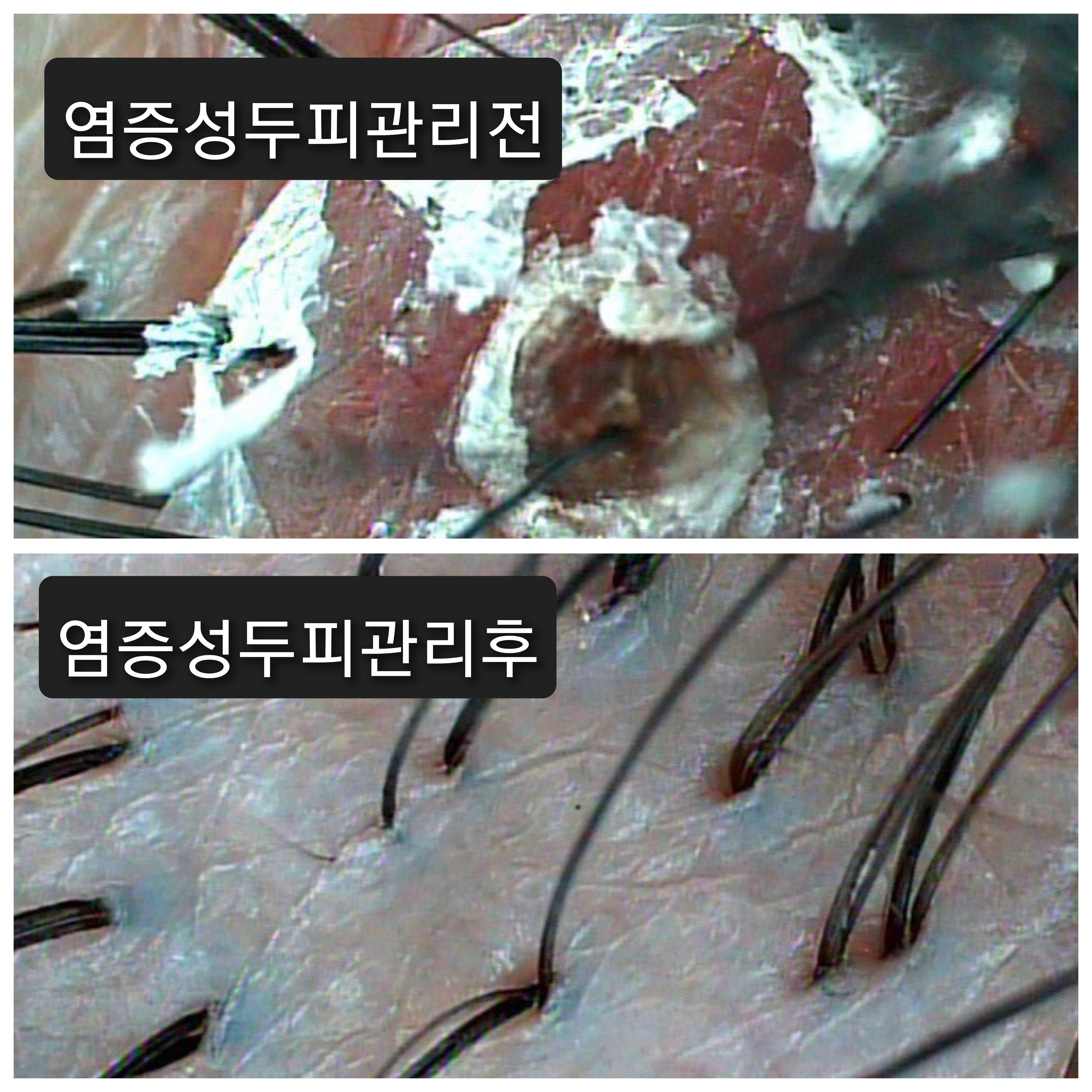 닥터모락 종로점 이미지