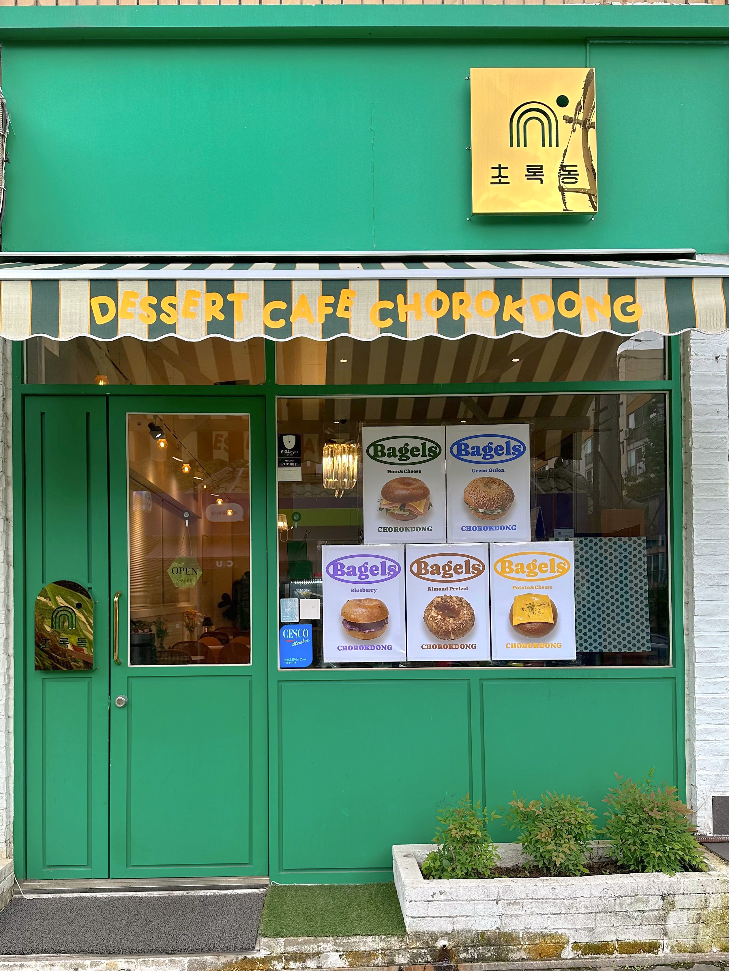 초록동