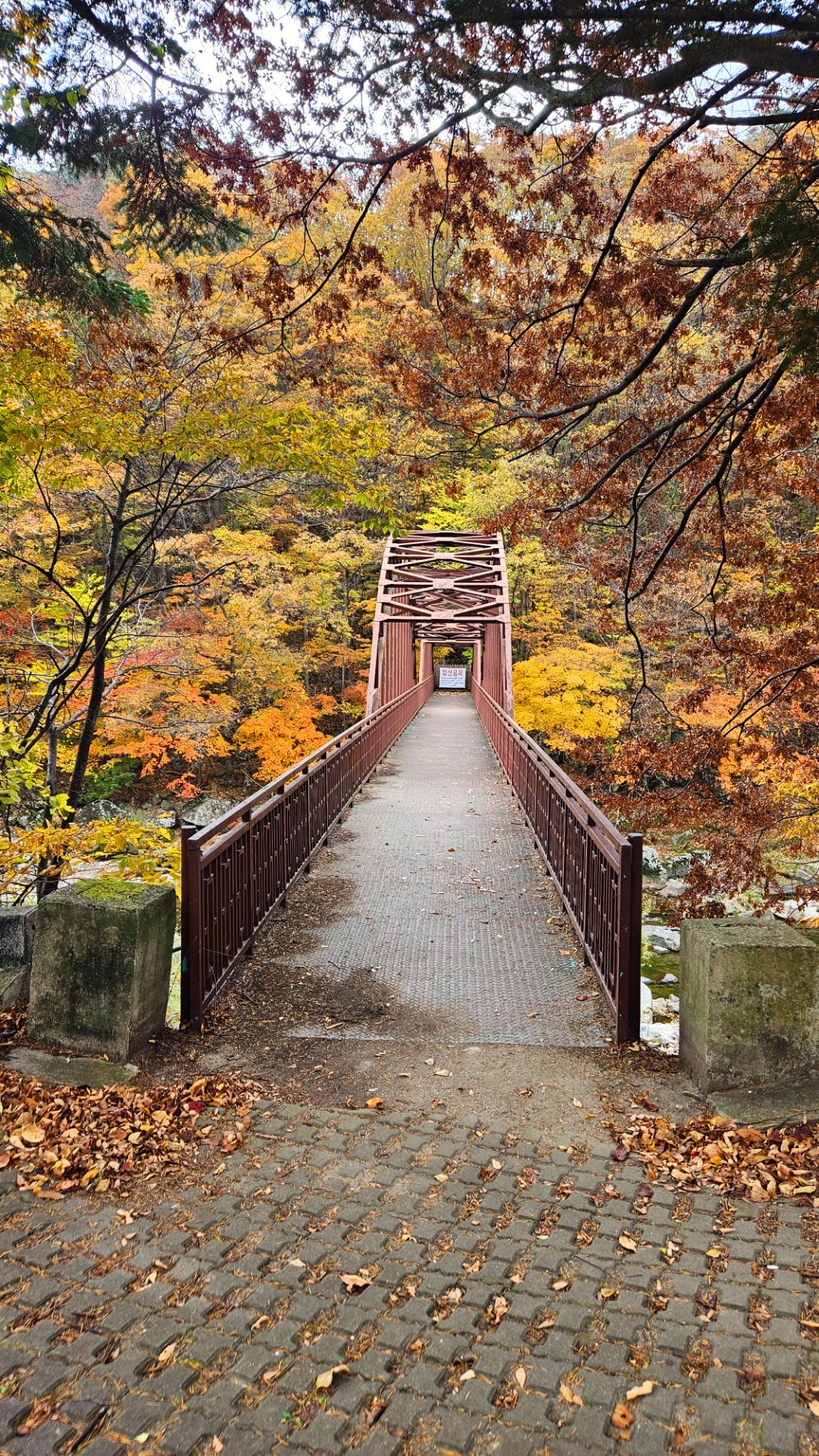 깊은골민박