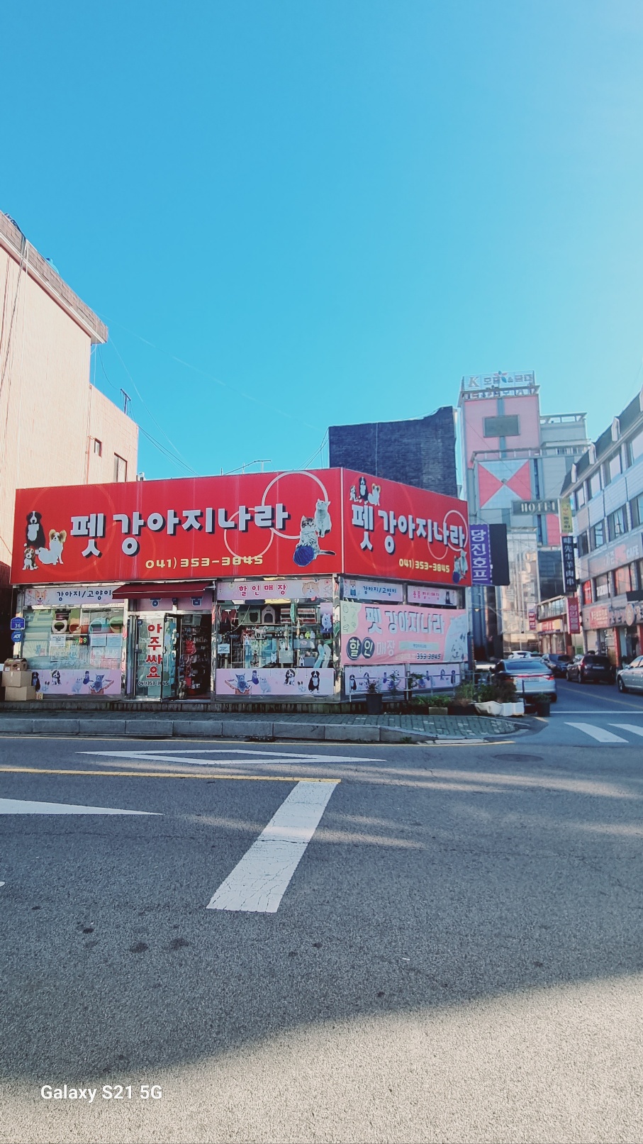 펫강아지나라