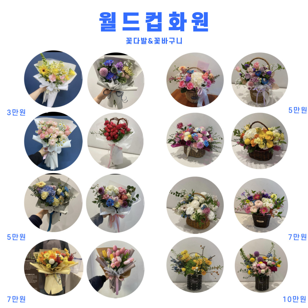 월드컵화원