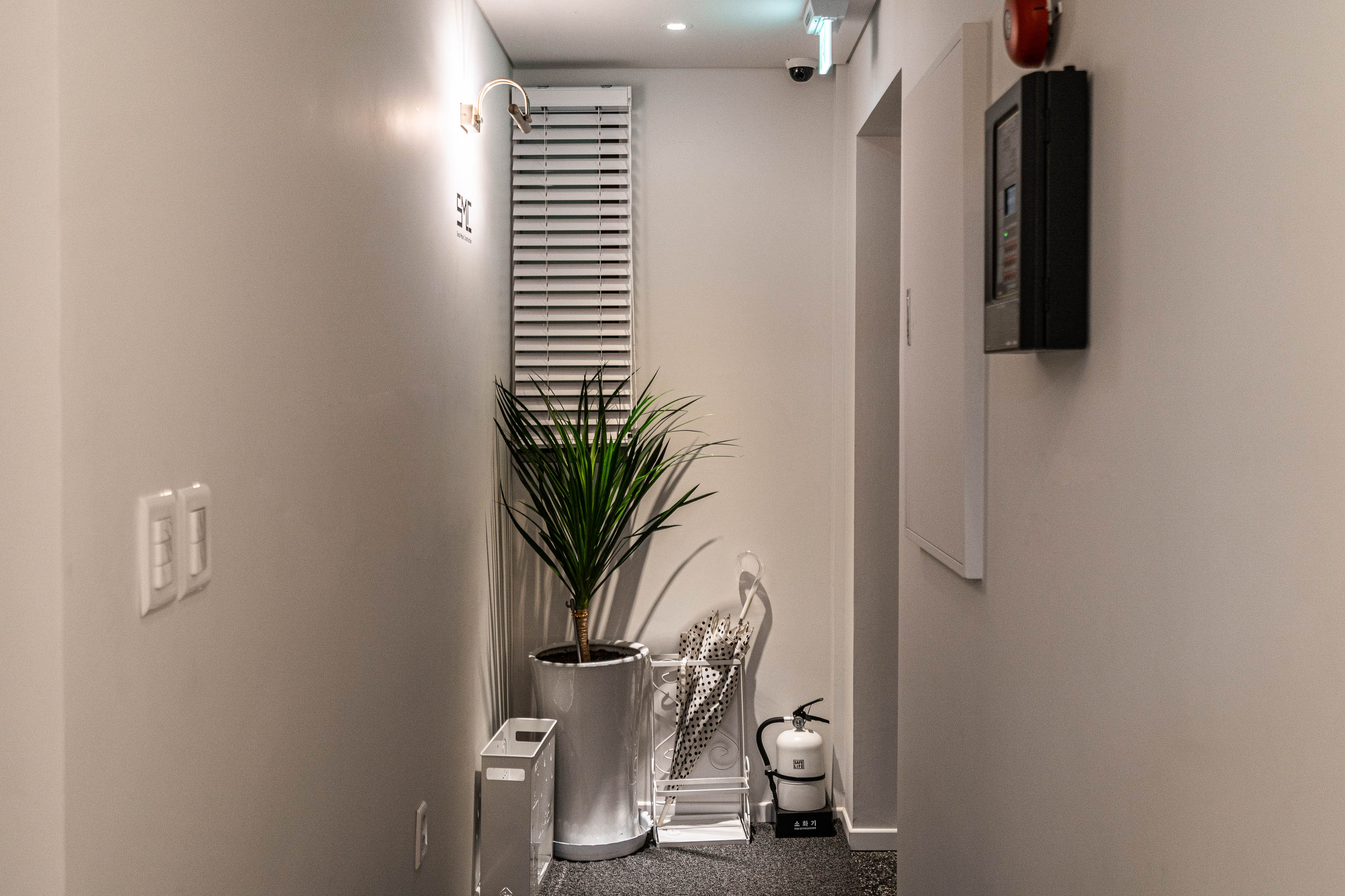 2번째 스튜디오 사진