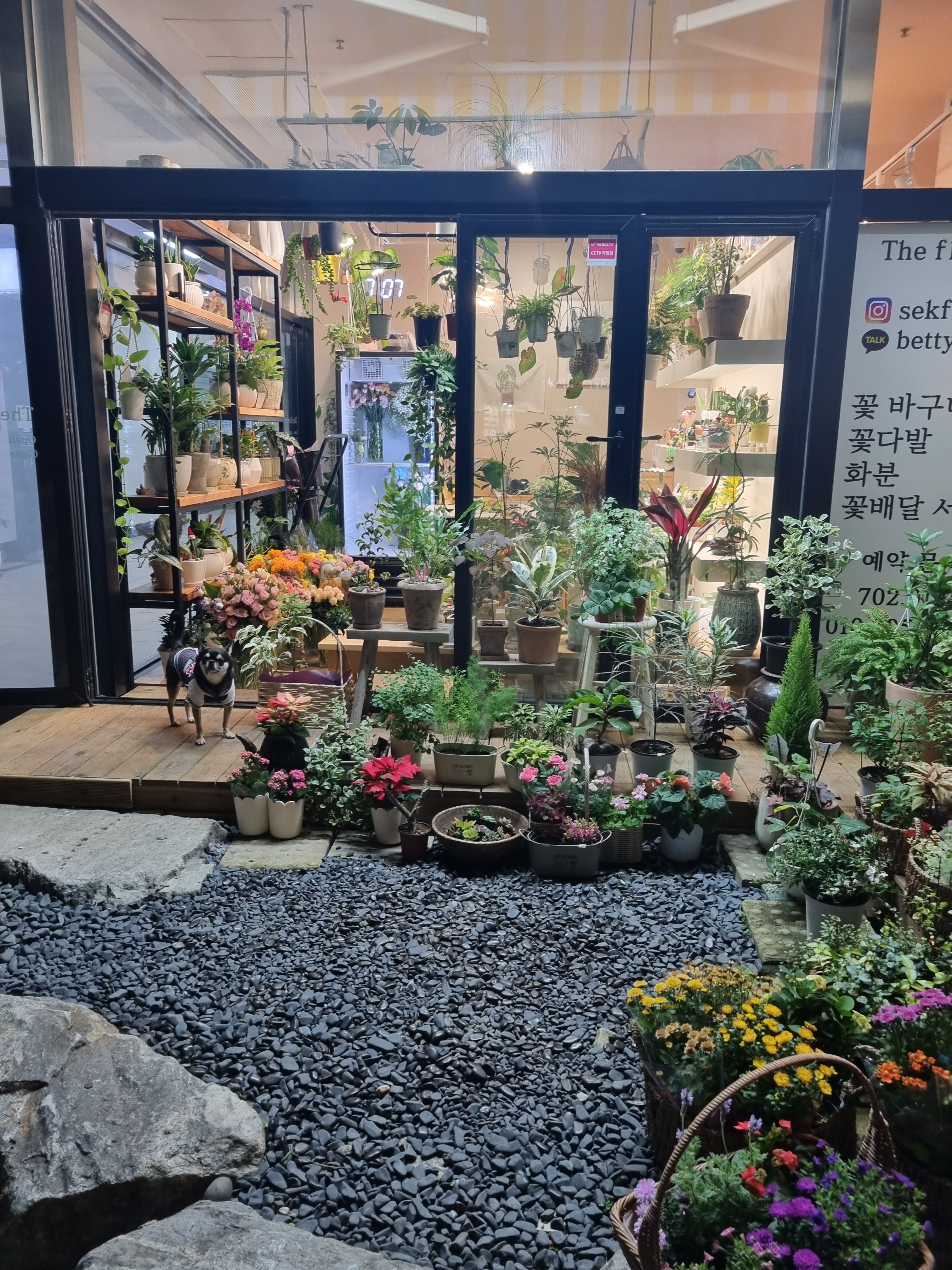 더플라워