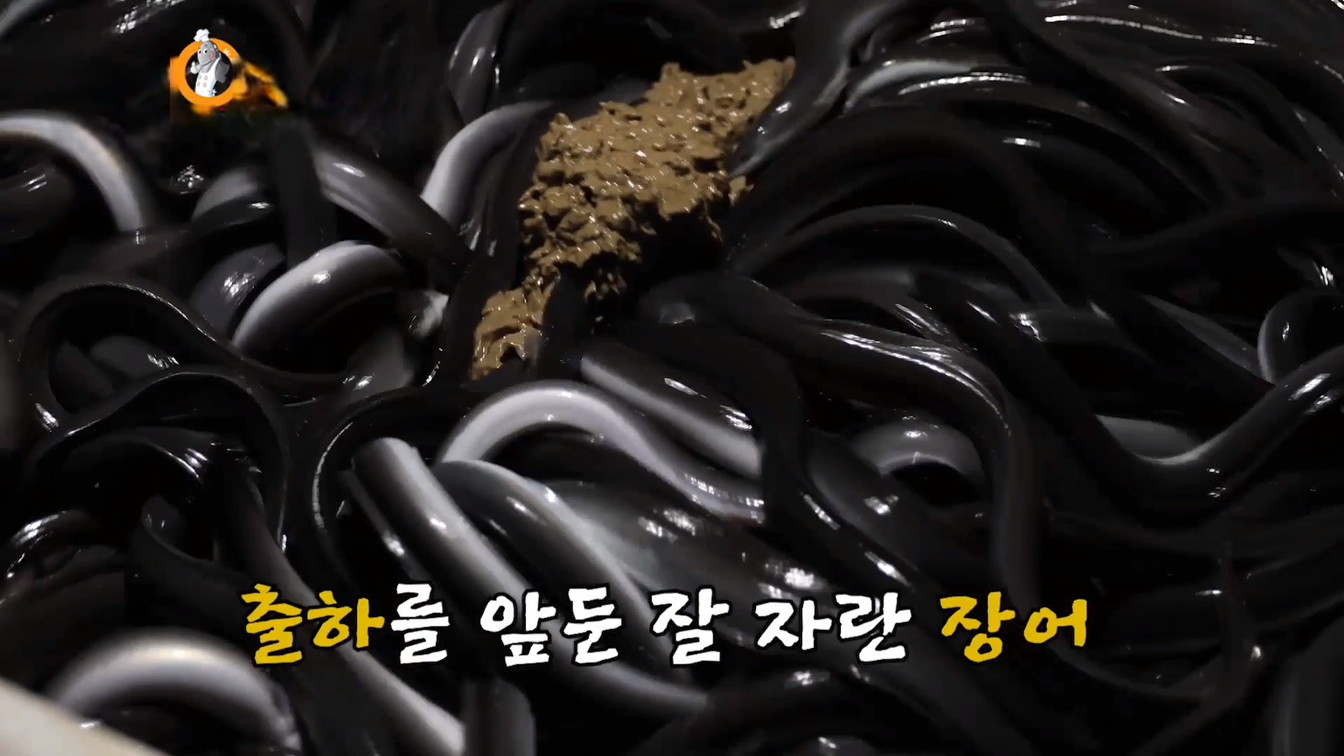 여자만 장어덮밥