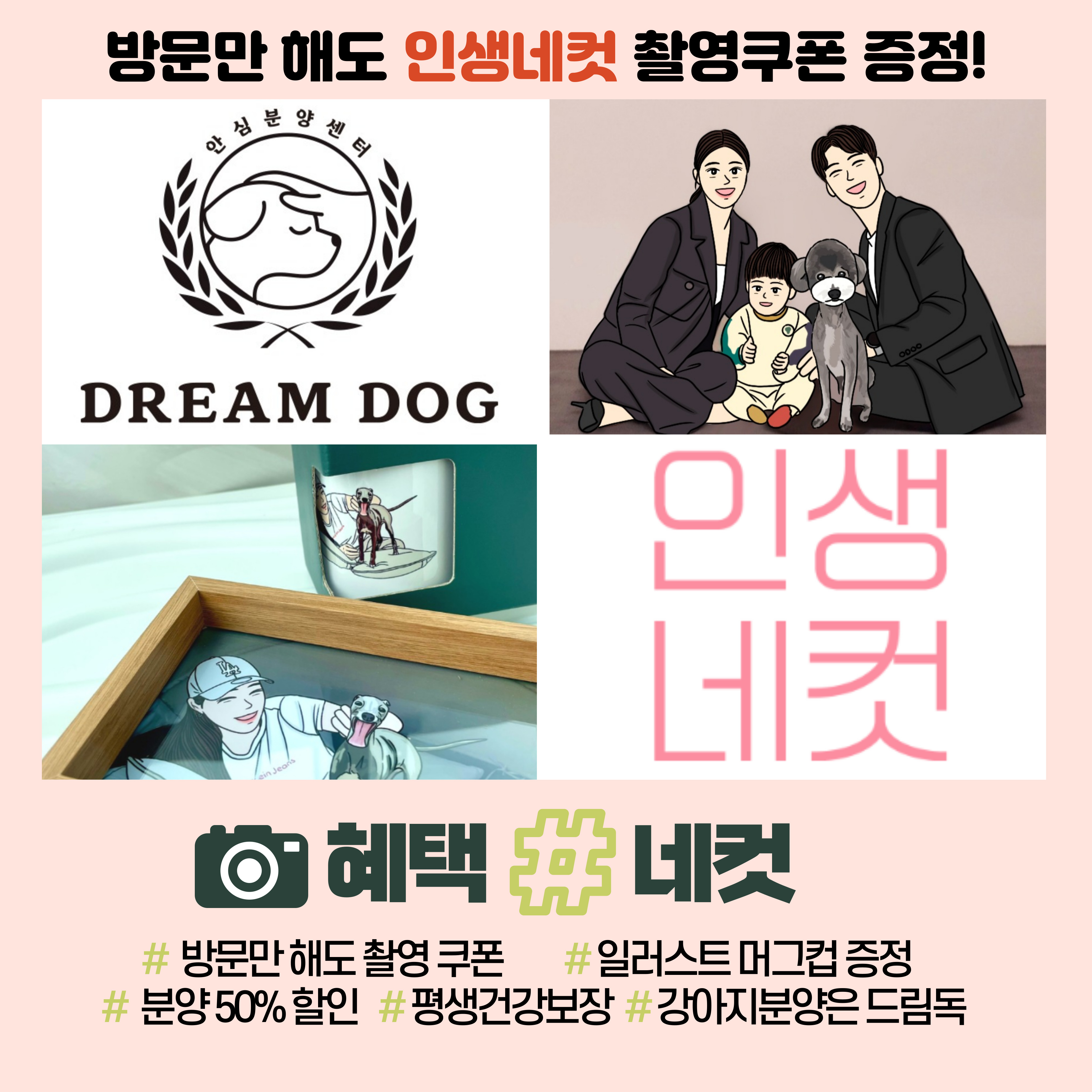 드림독 강아지고양이 안심분양센터 부천점