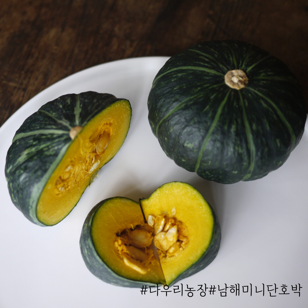 다우리농장