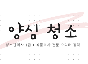 양심청소
