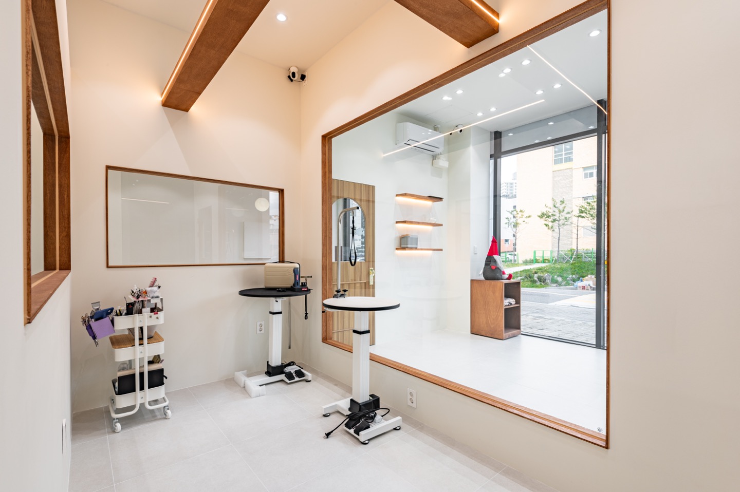 솜이랑 대표 이미지