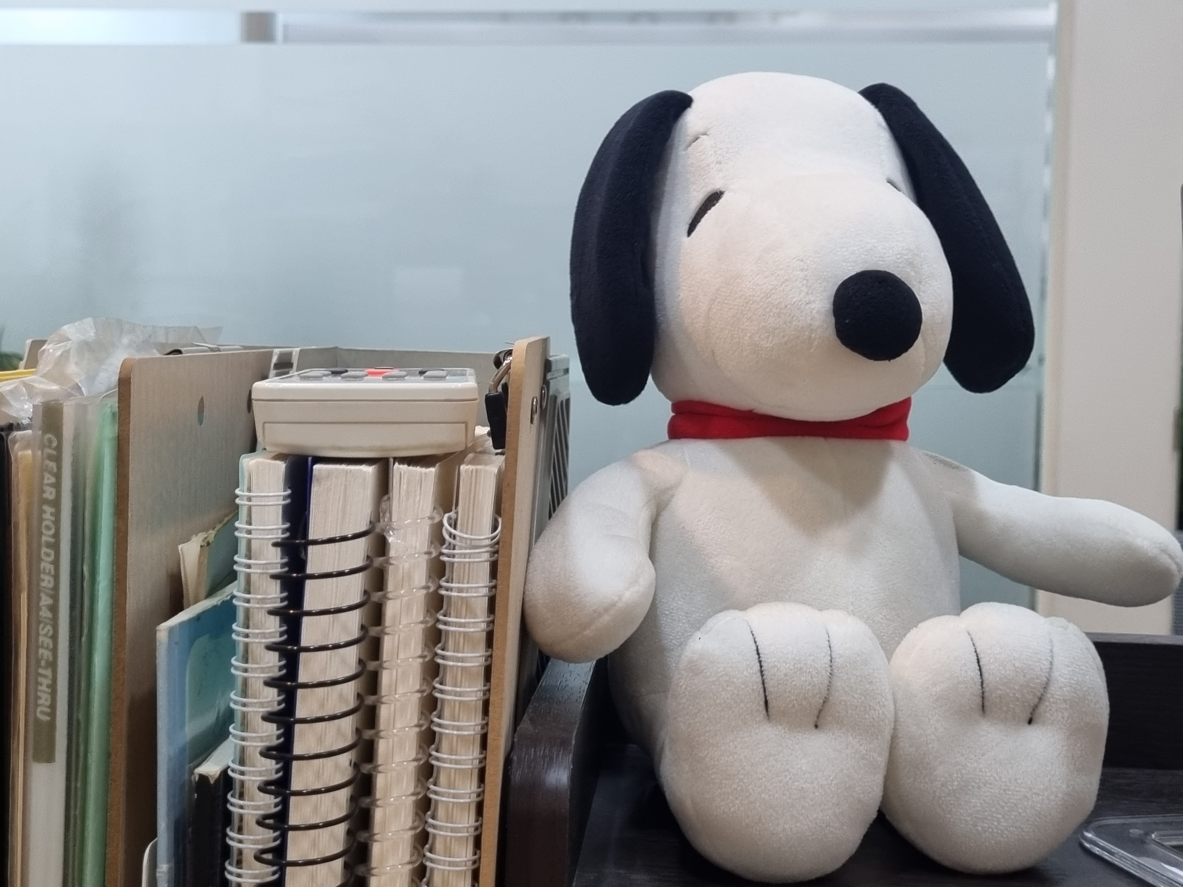 심리상담센터 나무 대표 이미지