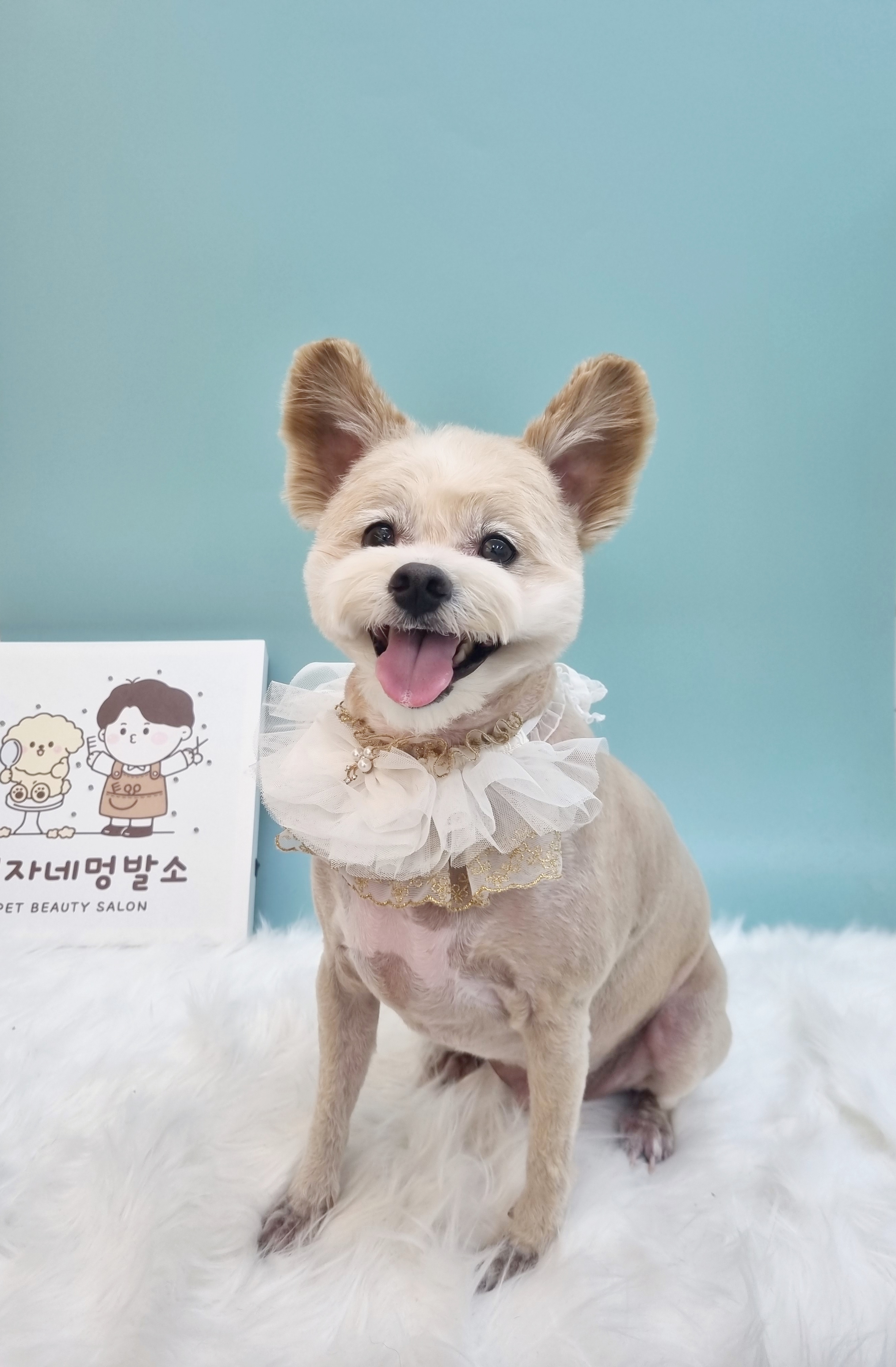 행자네멍발소 대표 이미지