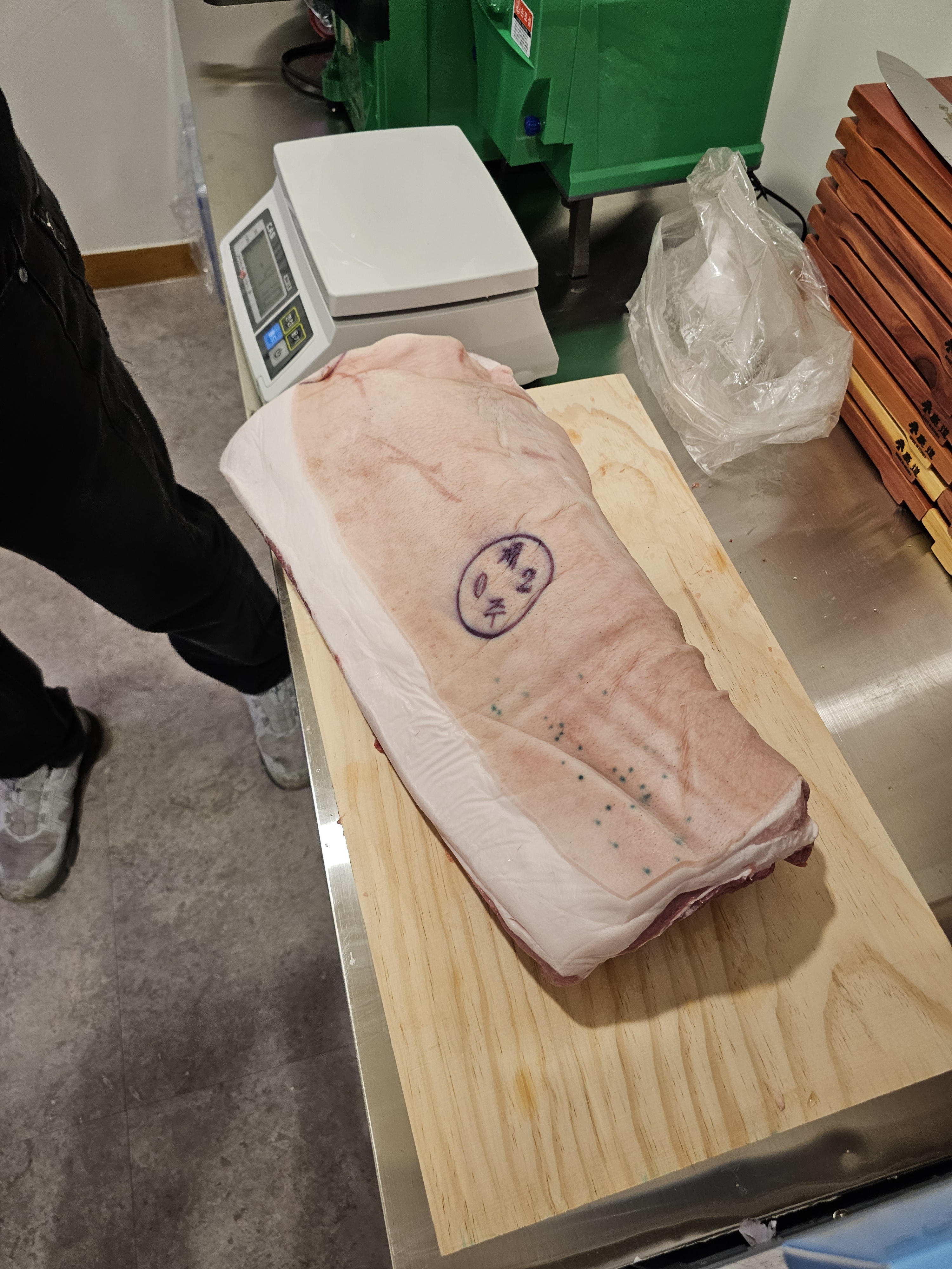 제주청년돼지 사진 3
