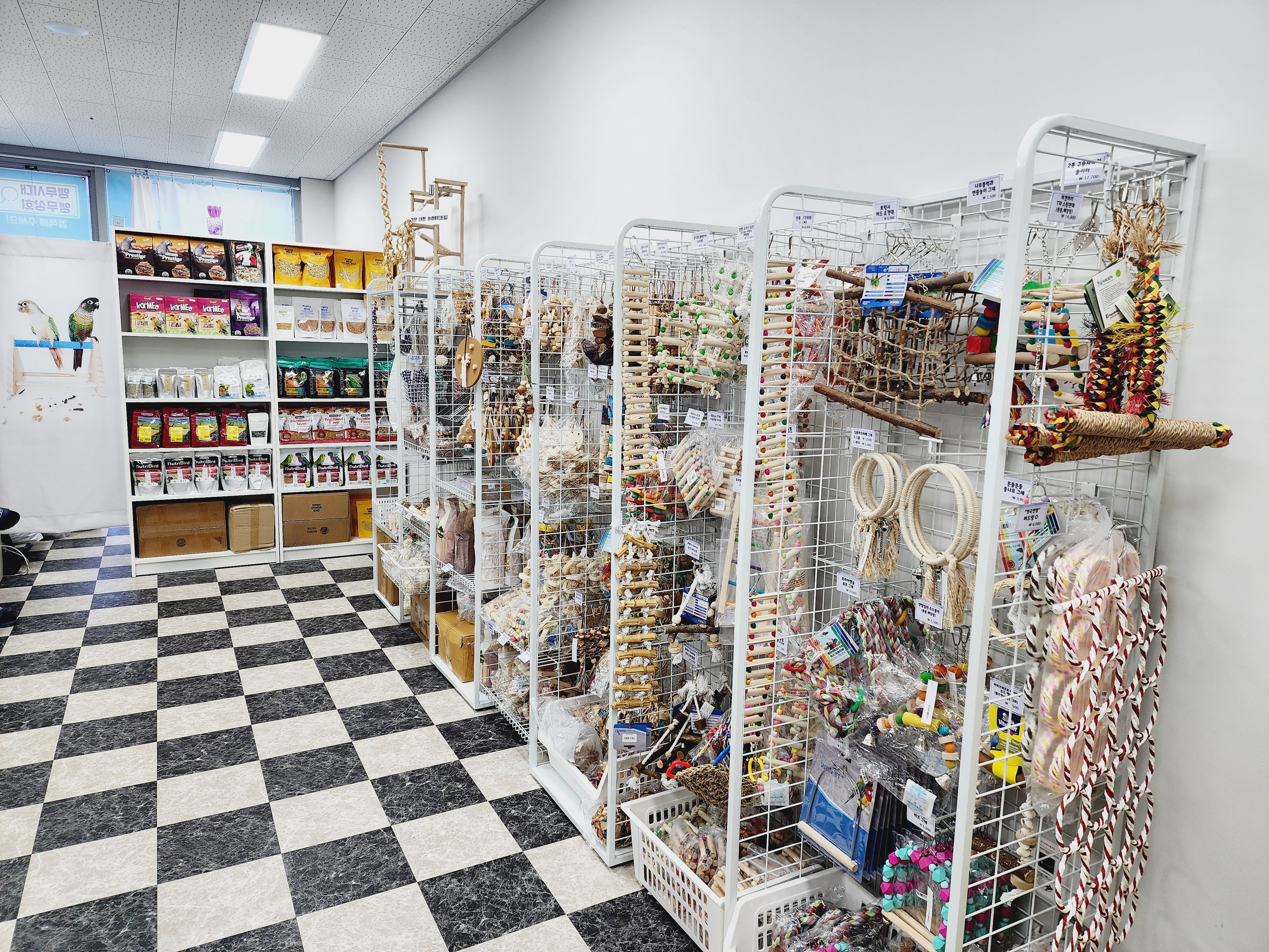 앵무상회 앵무시대 대표 이미지