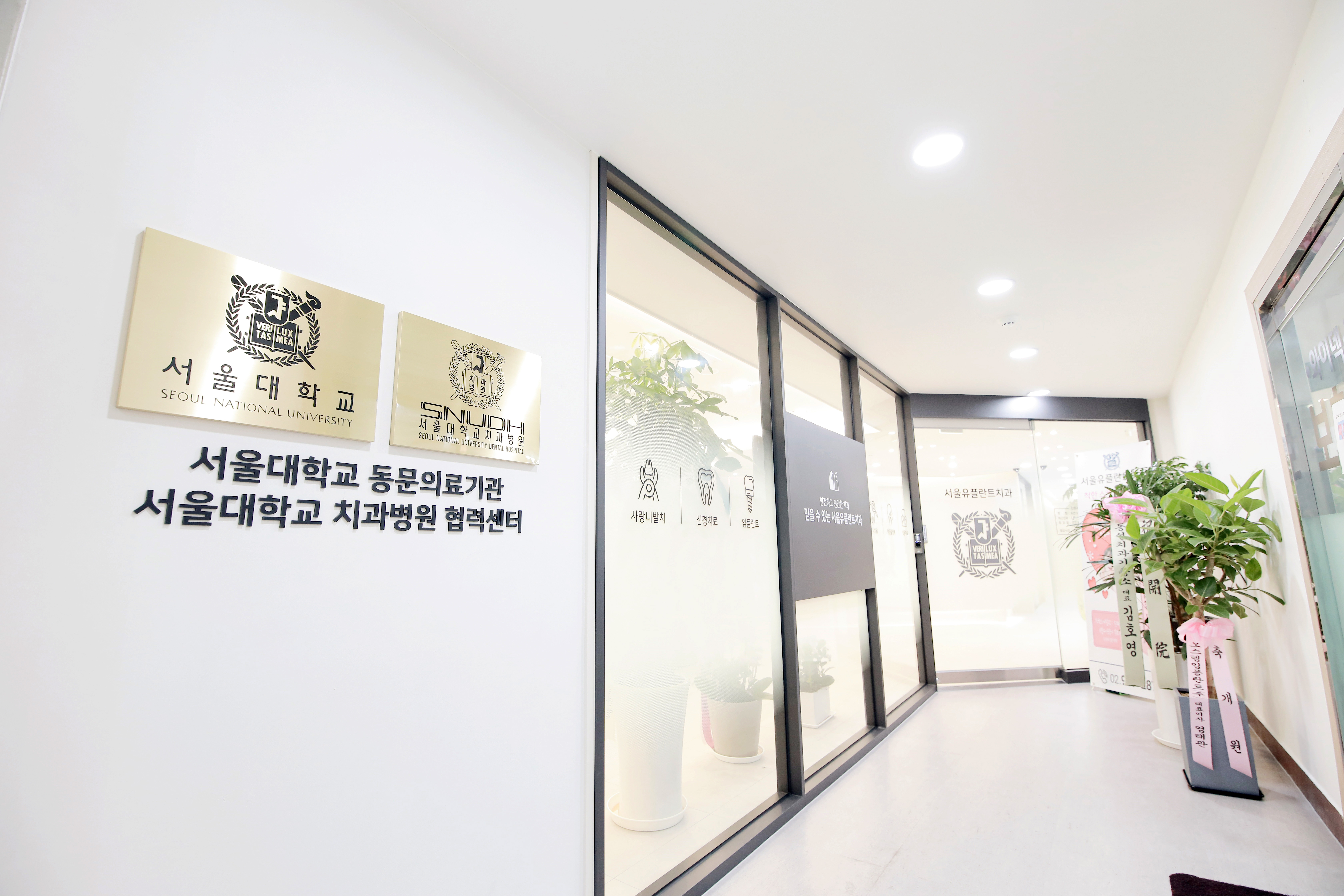 서울유플란트치과