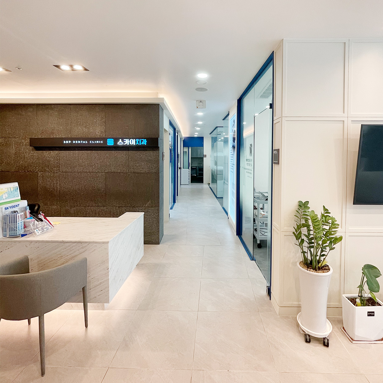 스카이치과의원 대표 이미지