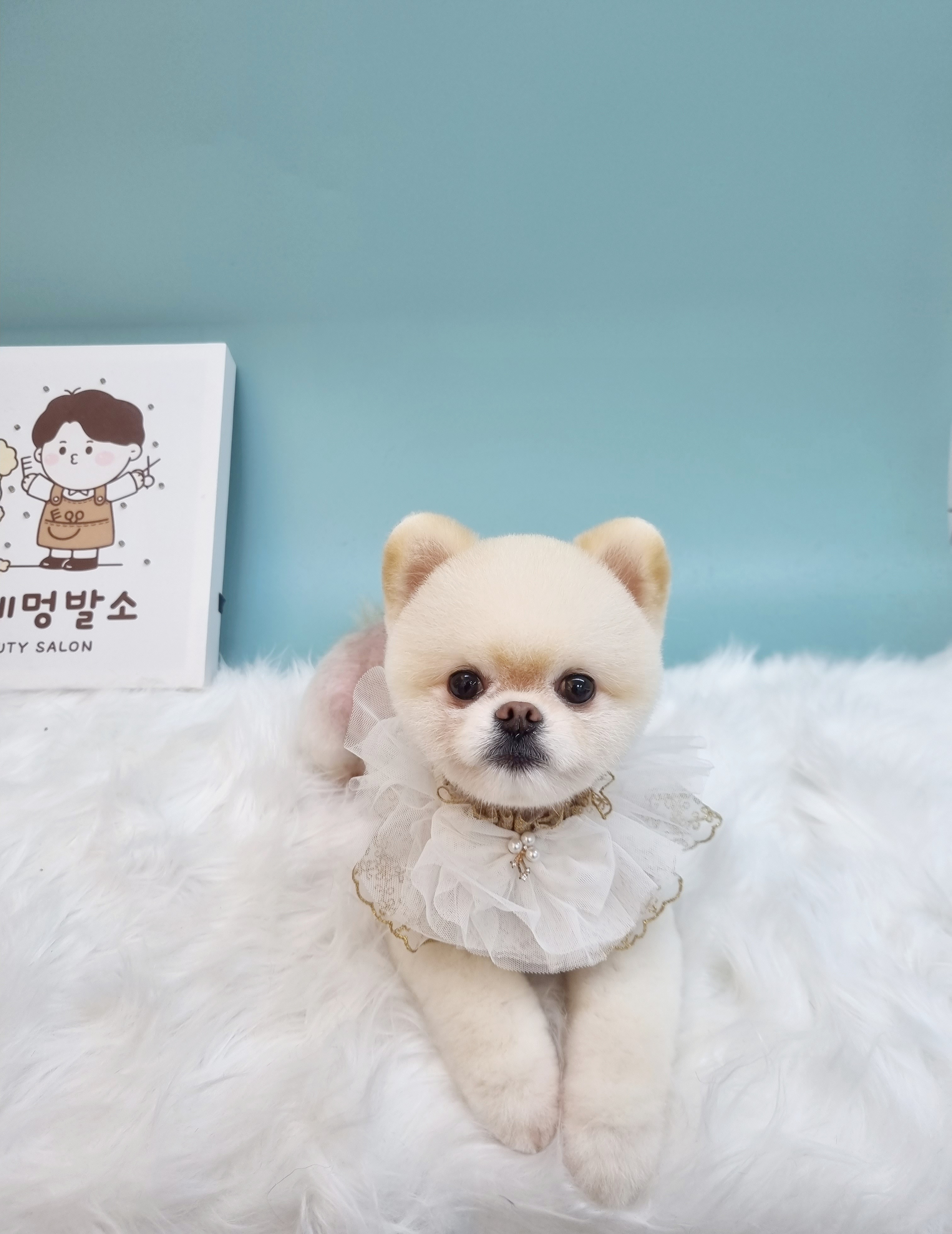 행자네멍발소 대표 이미지