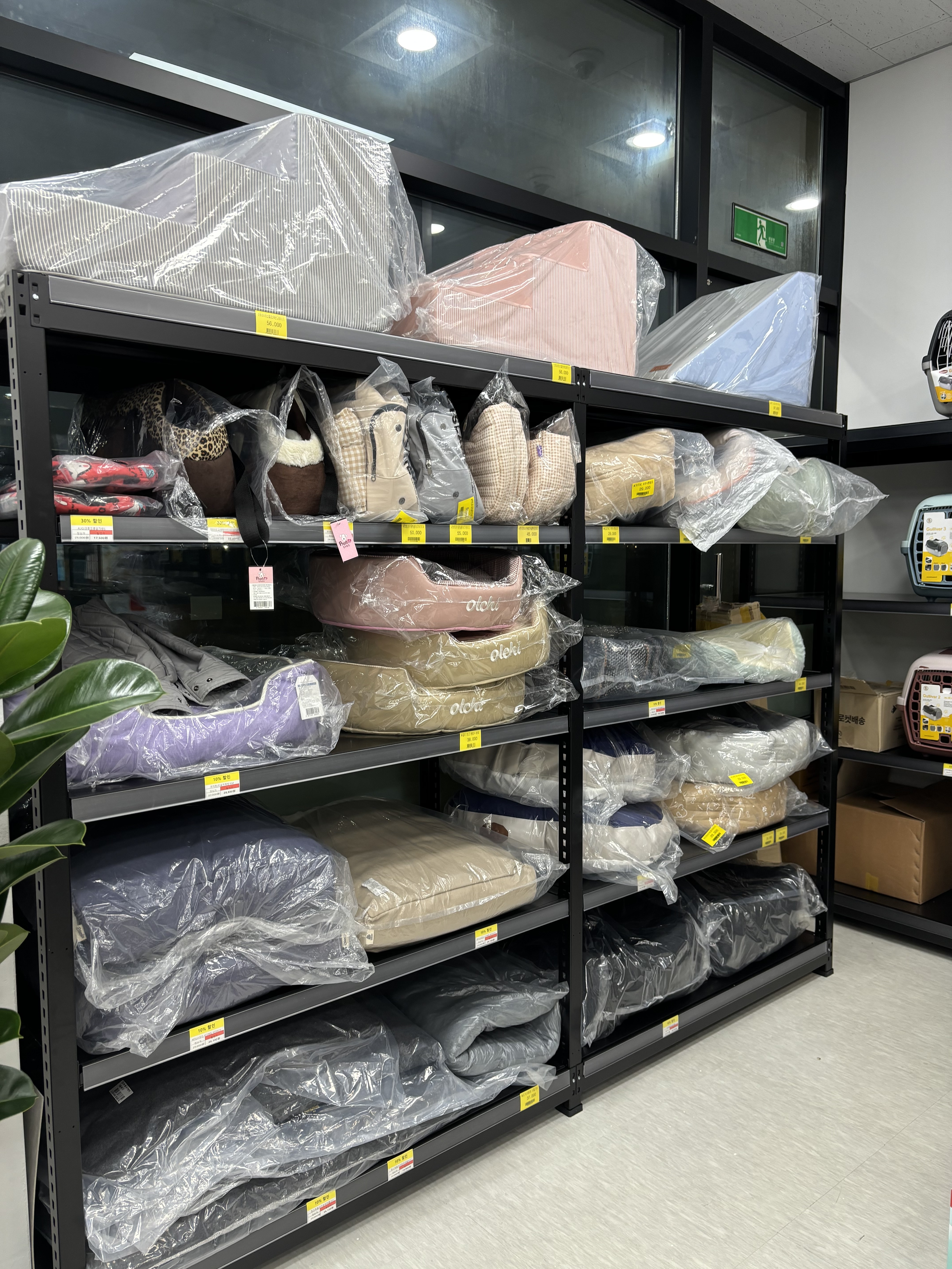 장보는강아지와고양이 대표 이미지