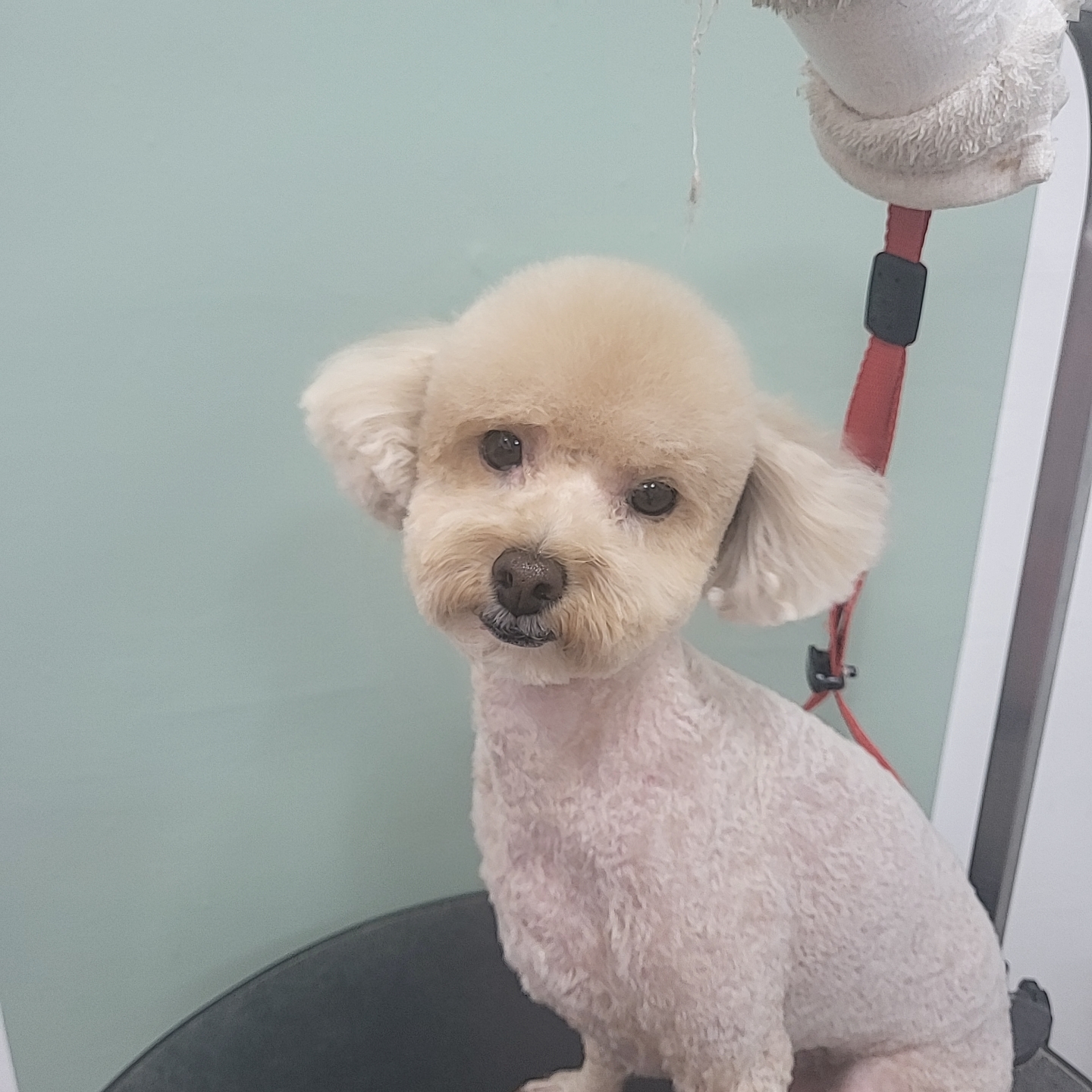 오늘은꽃단장 대표 이미지