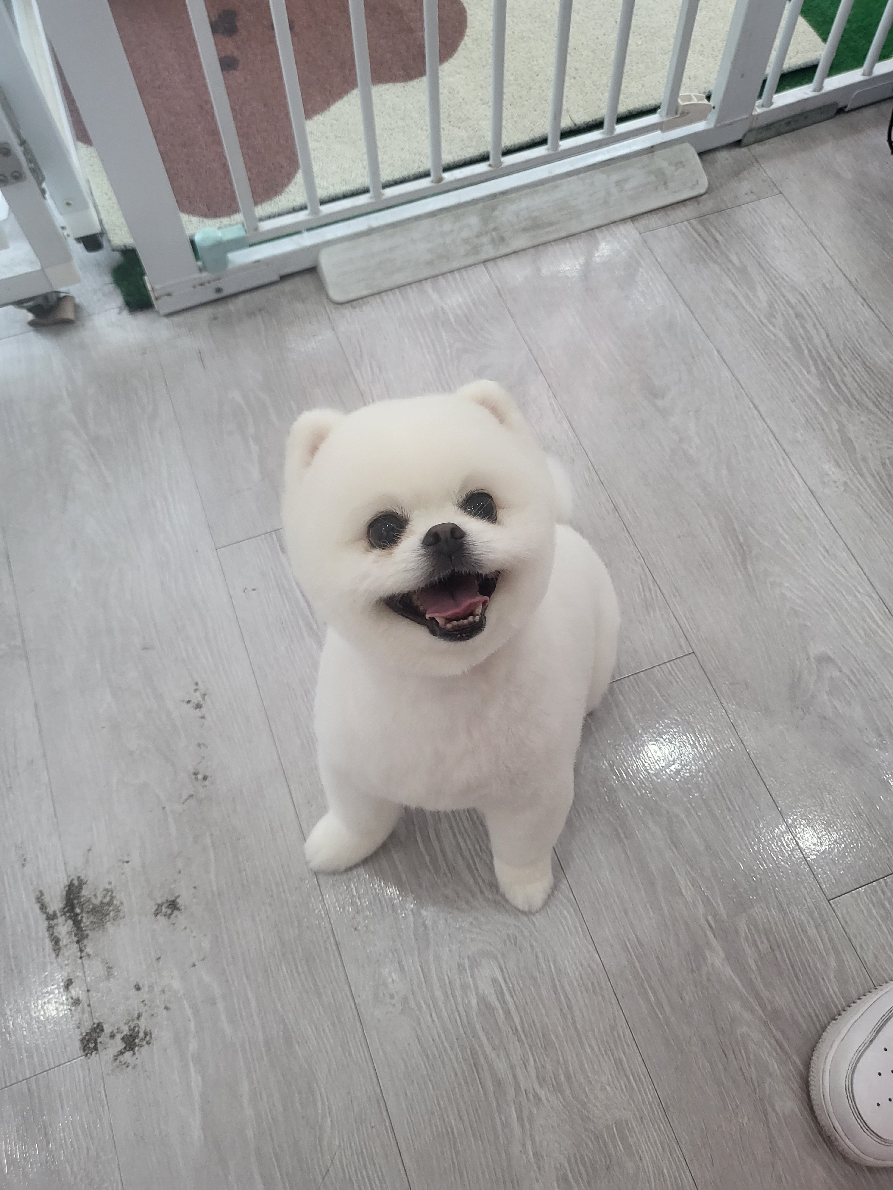 오늘은꽃단장 대표 이미지